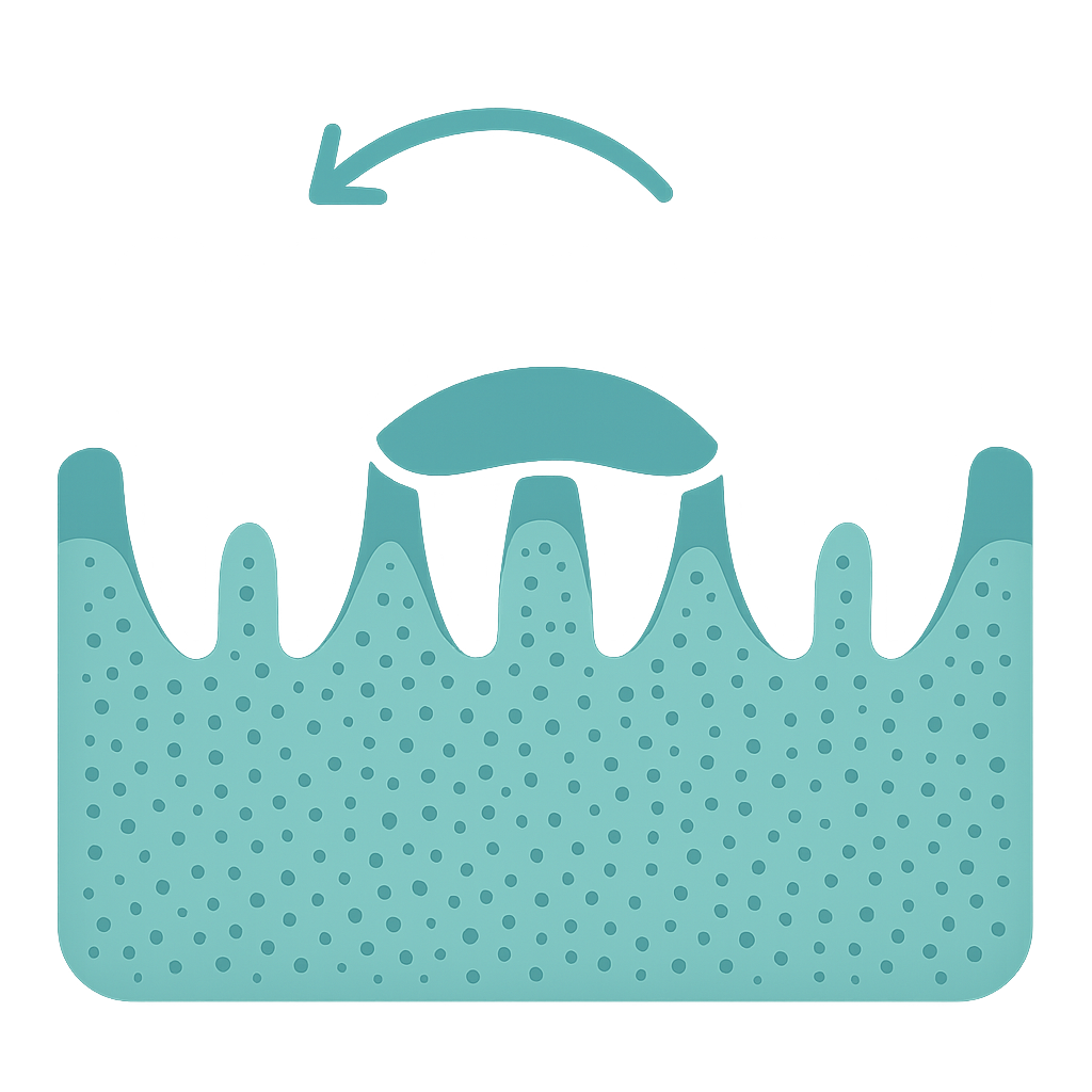 Guided Tissue Regeneration for periodontal disease