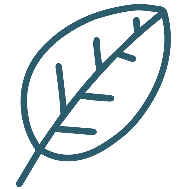 Hand drawn illustration of a leaf representing emotional calm and emotional regulation