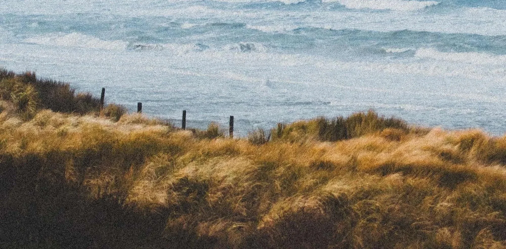 Peaceful coastal scene with ocean waves and sand dunes covered in grasses.