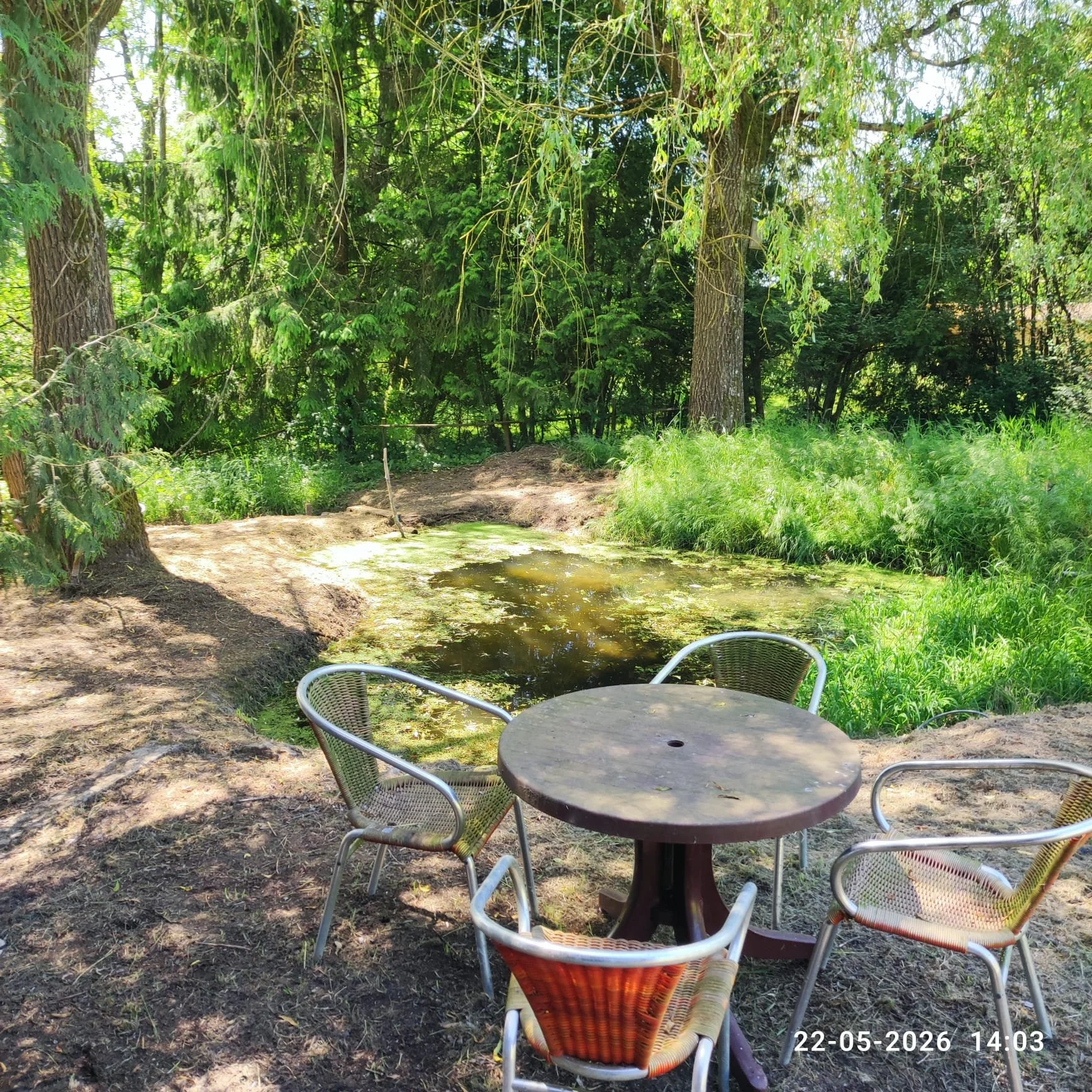 Tafel met vier stoelen in een tuin met een klein vijvertje en omringend groen, bomen en struiken.