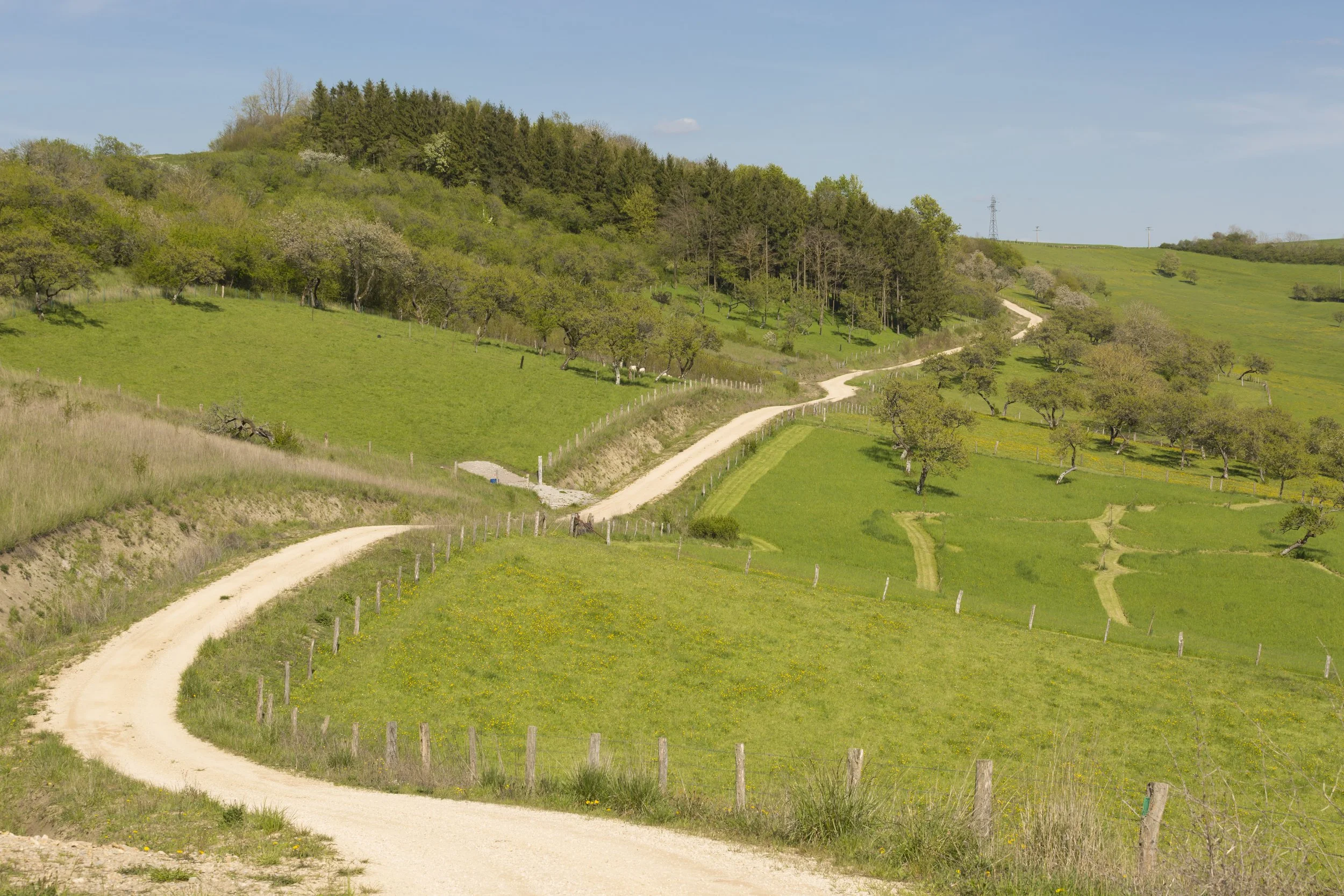 Landschap met groene heuvels, bomen en een kronkelend zandweggetje onder een blauwe hemel.