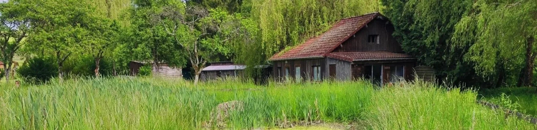 Bosje met groene bomen en gras rondom een houten huis met rode dakpannen.