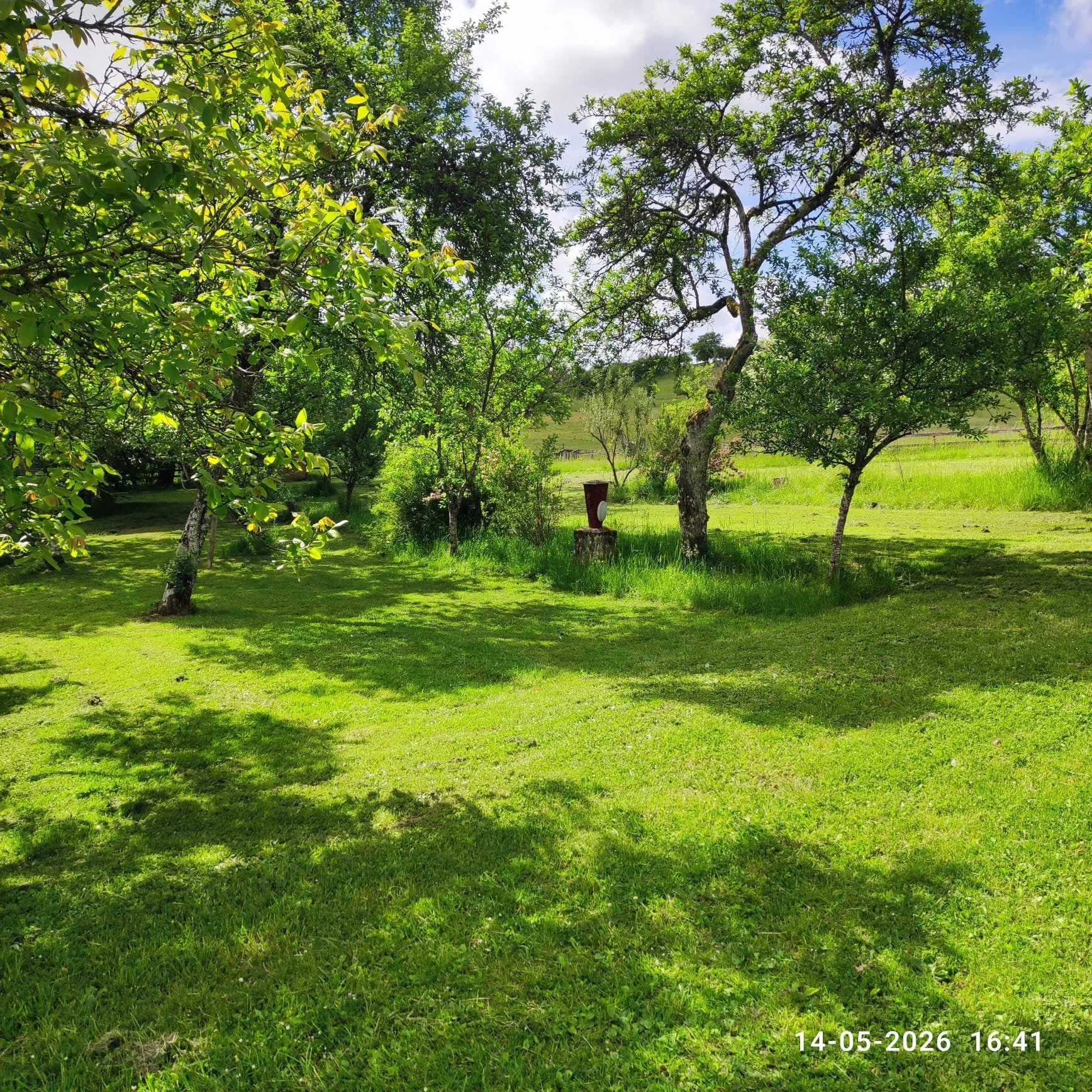 Groene tuin met bomen en gras, onder een deels bewolkte hemel, met een datum en tijdnotering onderaan rechts.
