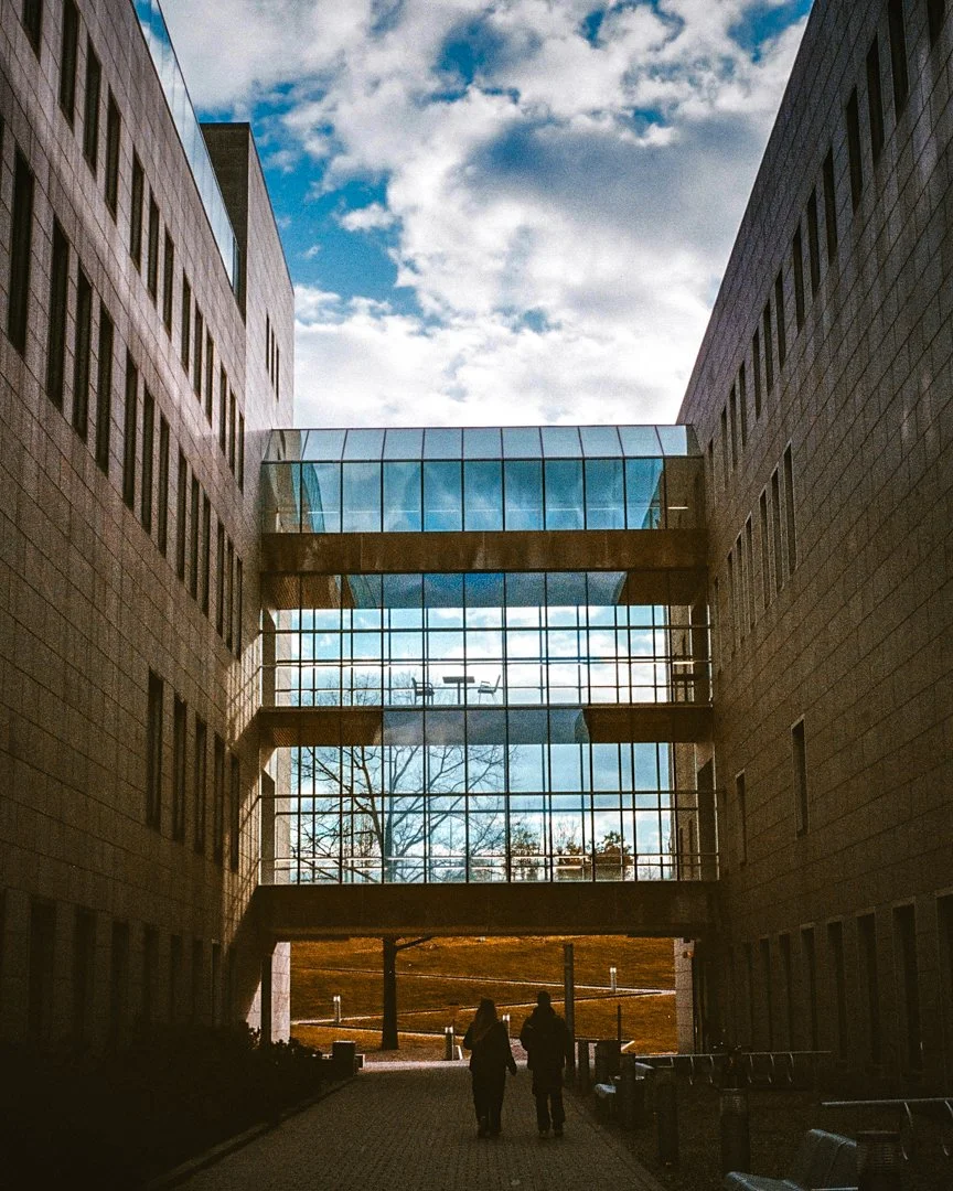 windowwalkway.jpg
