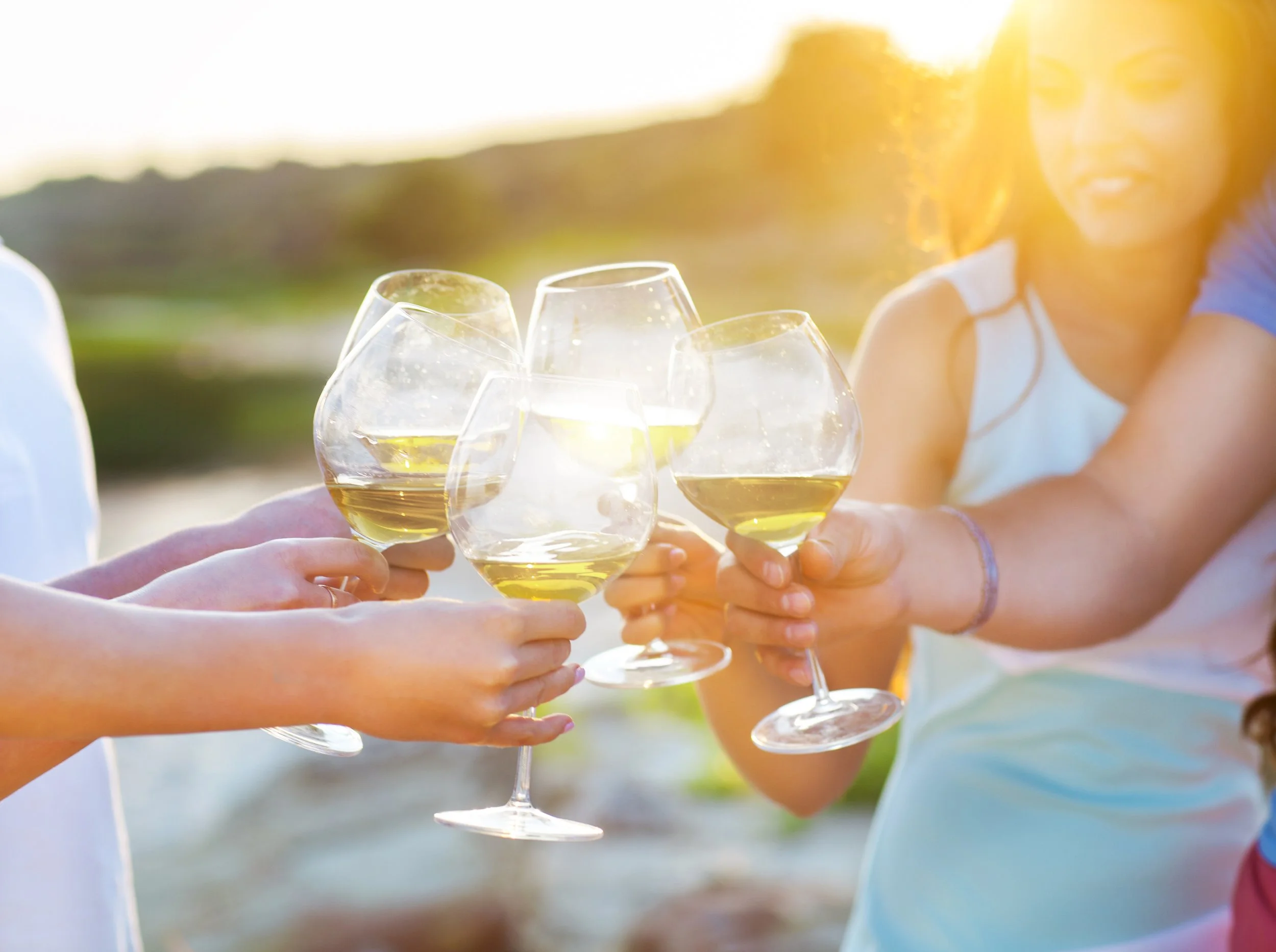 Multiple glasses of white wine being clinked together in a toast during an outdoor gathering at sunset.
