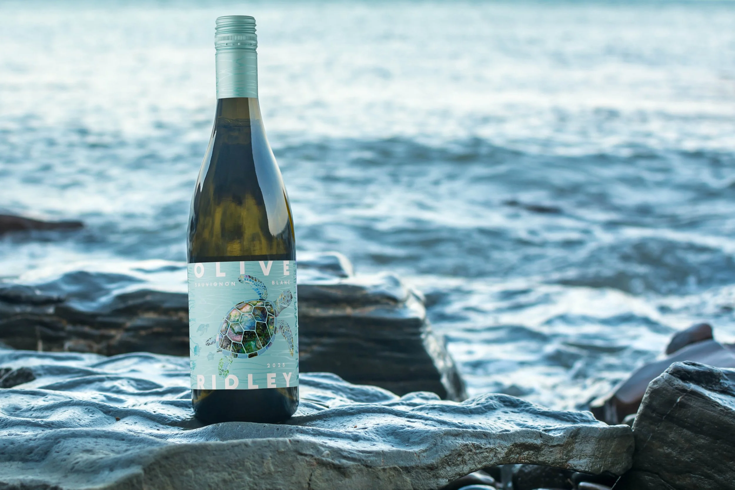 A wine bottle with a turtle illustration on the label, placed on rocky ground by water.