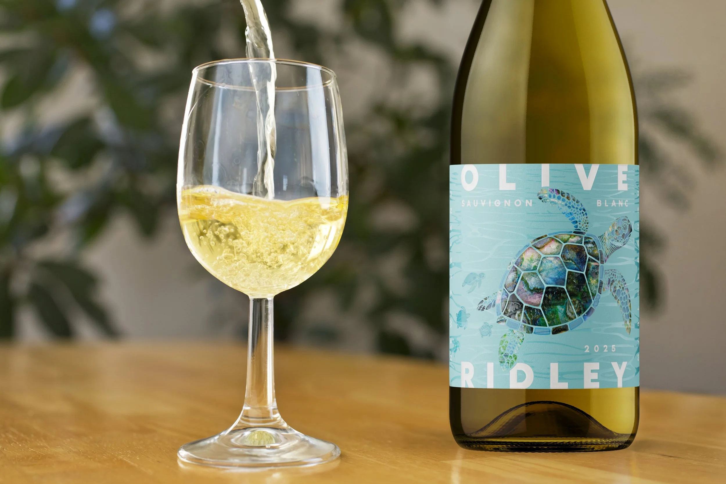A glass of white wine being poured from a bottle labeled Olive Ridley Sauvignon Blanc Wine