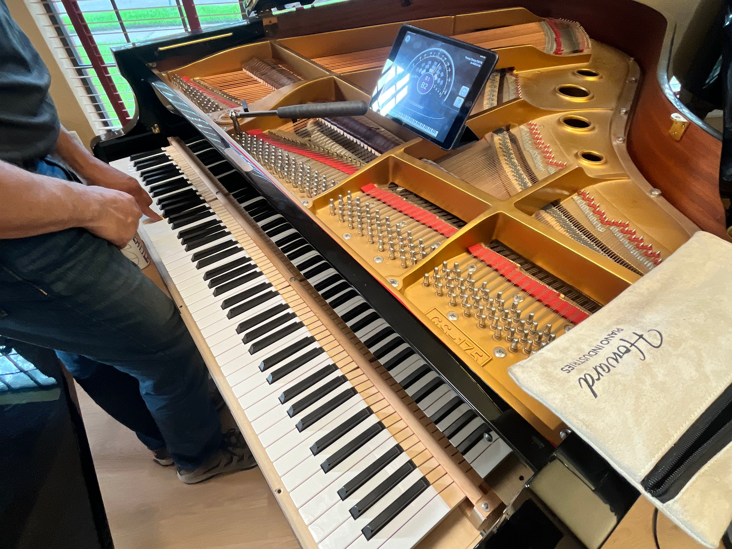 Young Chang Baby Grand