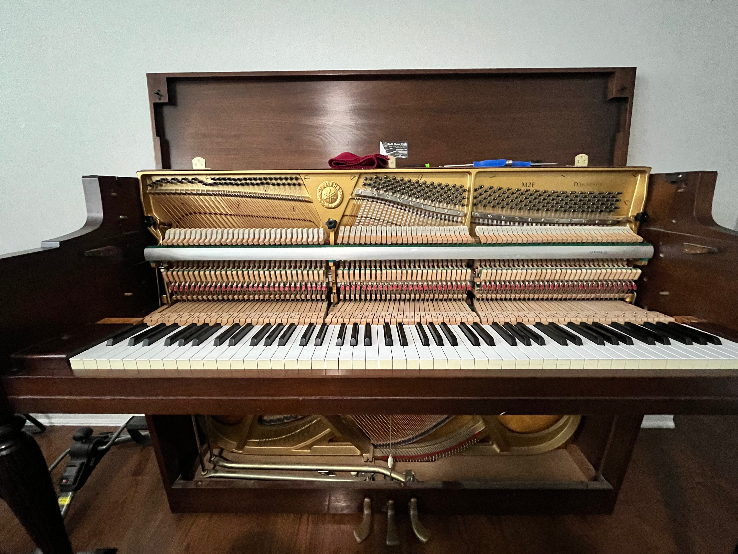 yamaha m3 