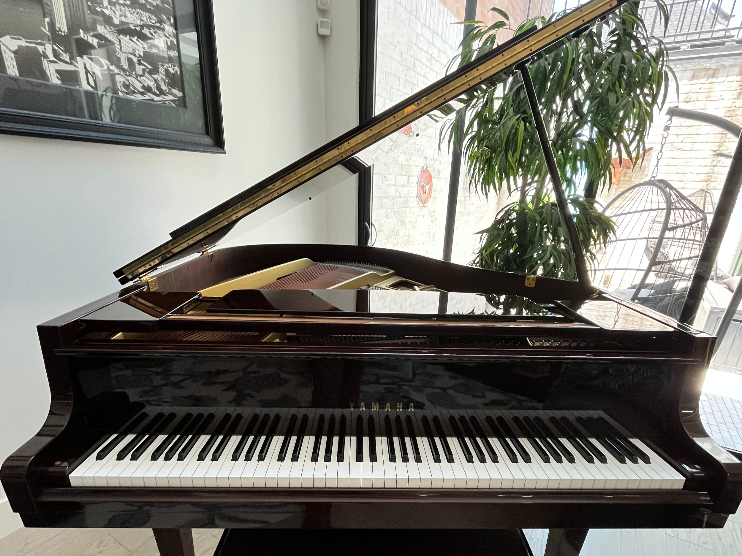 shawn+marie+yamaha+.png