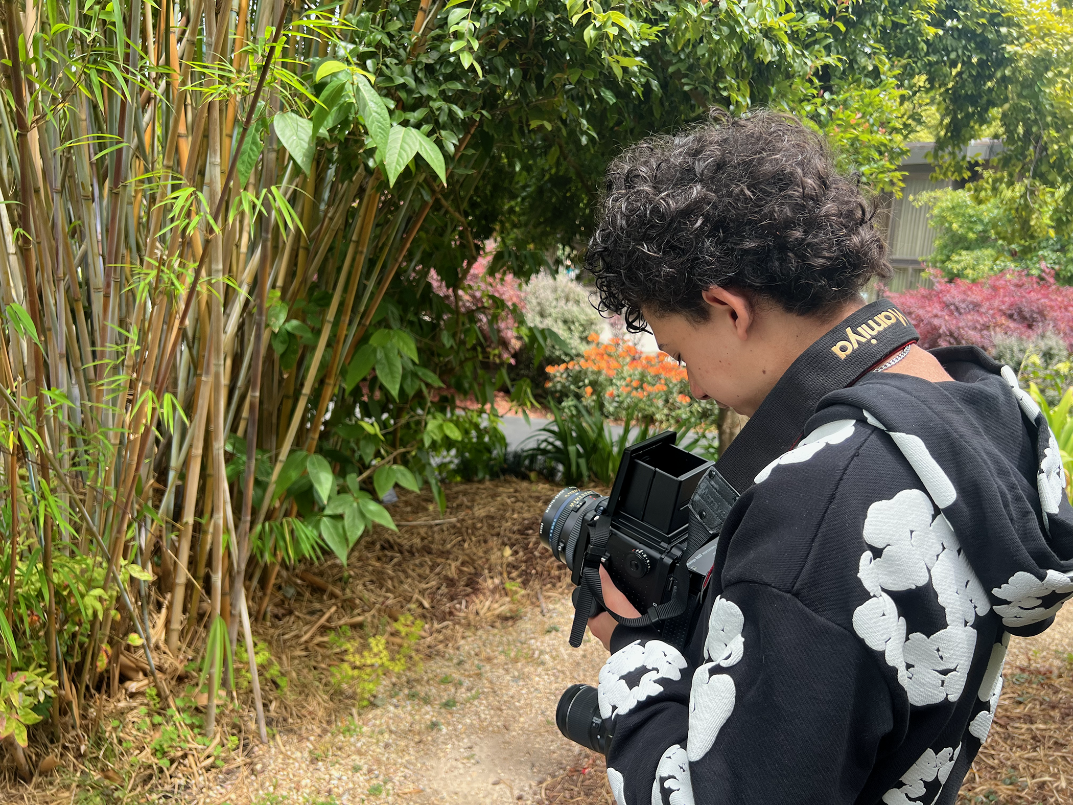 A person with curly hair wearing a black and white patterned hoodie is holding a camera in a garden with green foliage and colorful flowers.