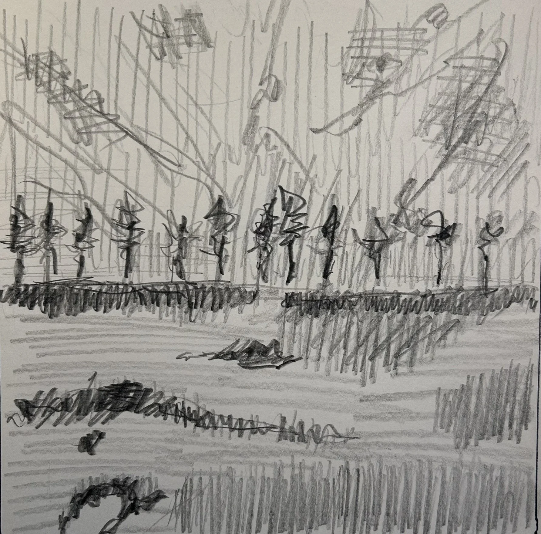Landscape - Glenstone, 2026 (8" x 8"; pencil on paper; unframed)