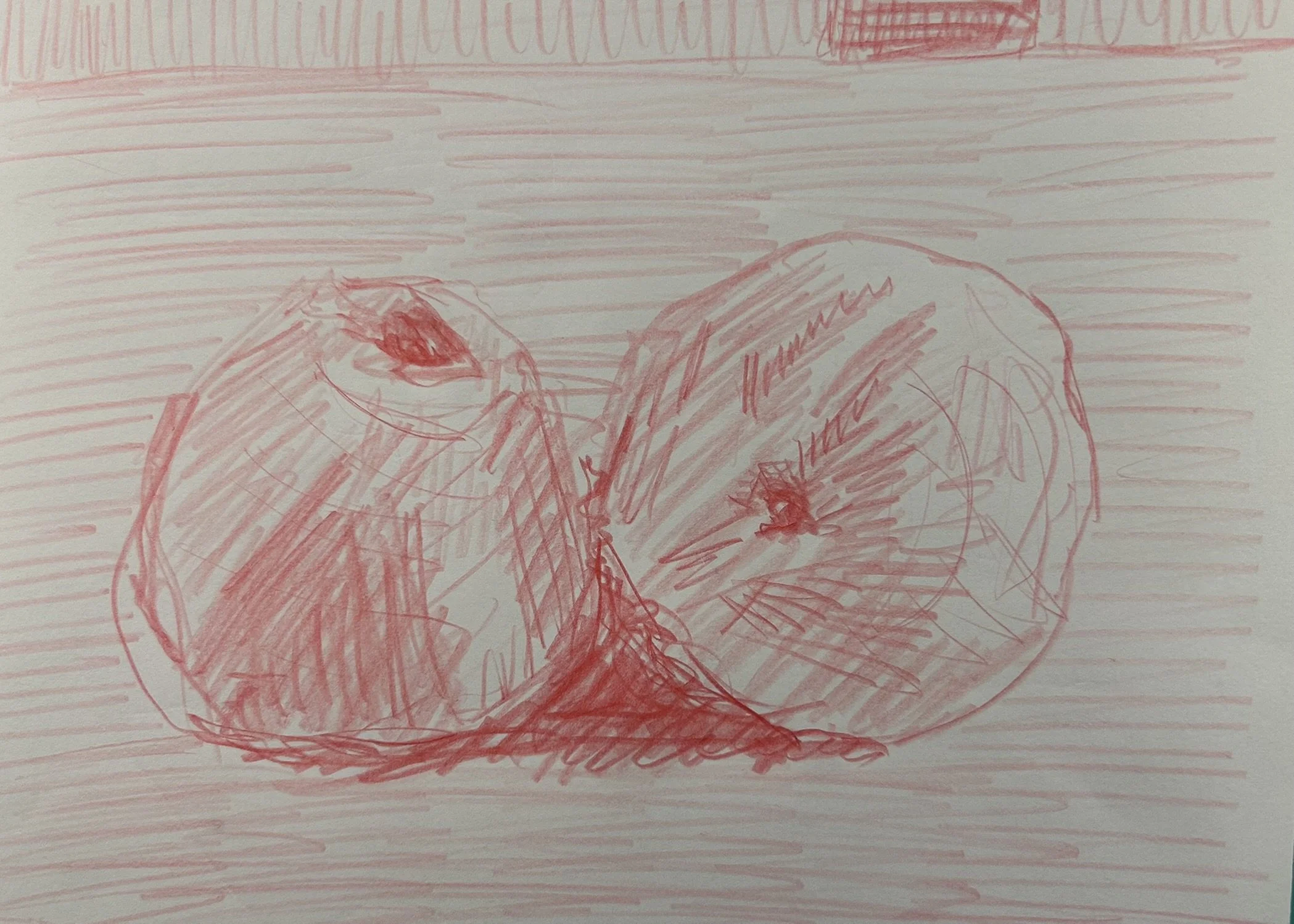 Two Peaches, 2026 (6" x 8.5"; red pencil on paper; unframed)