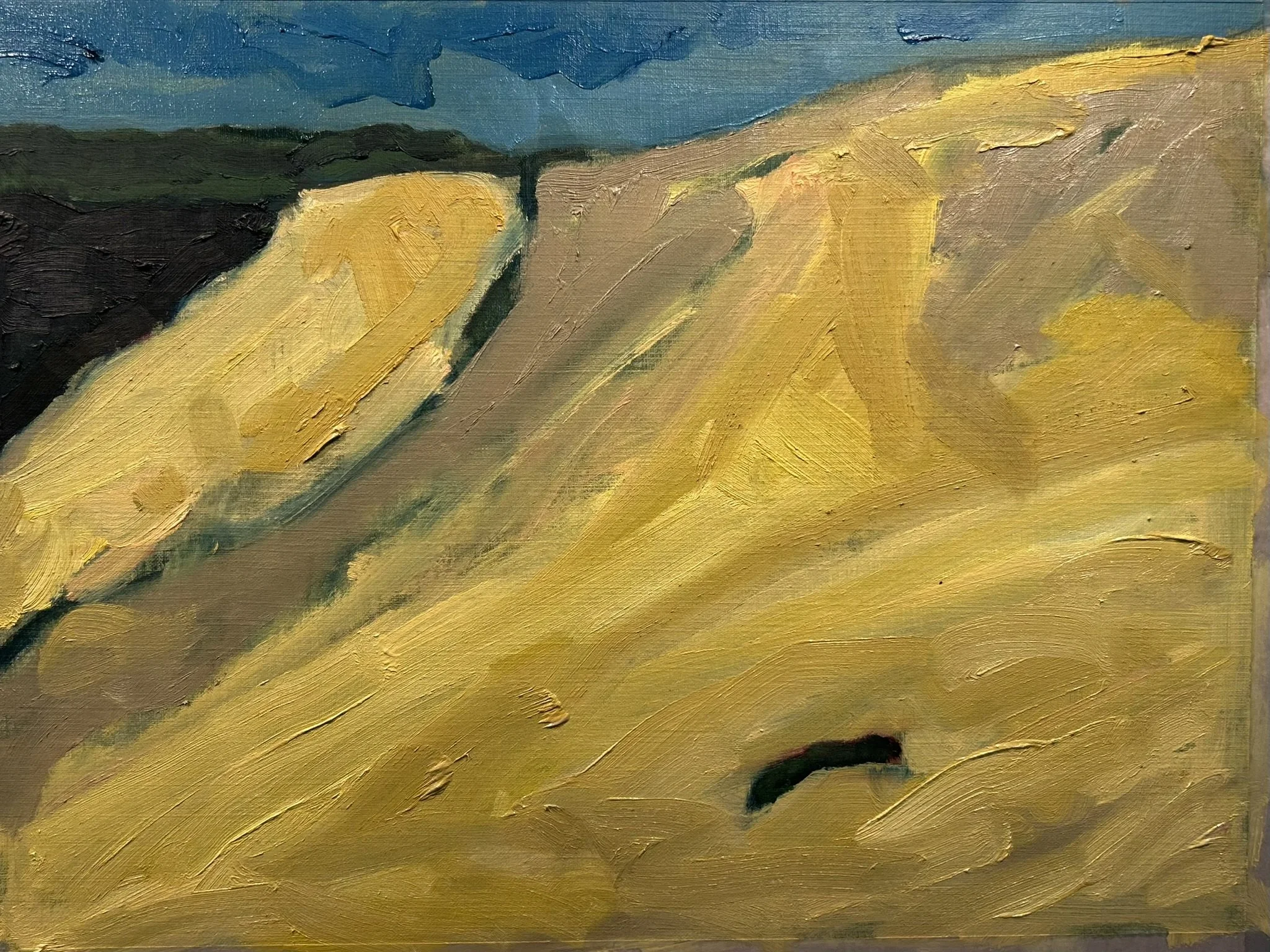 Dune du Pilat - La Teste-de-Buch, France 1, 2026 (oil on painting paper).JPEG