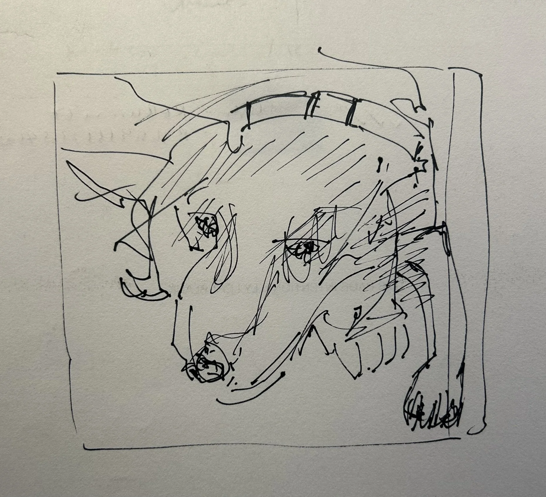 Emas, 2026 (4.25" x 4.5"; ink on paper; unframed)