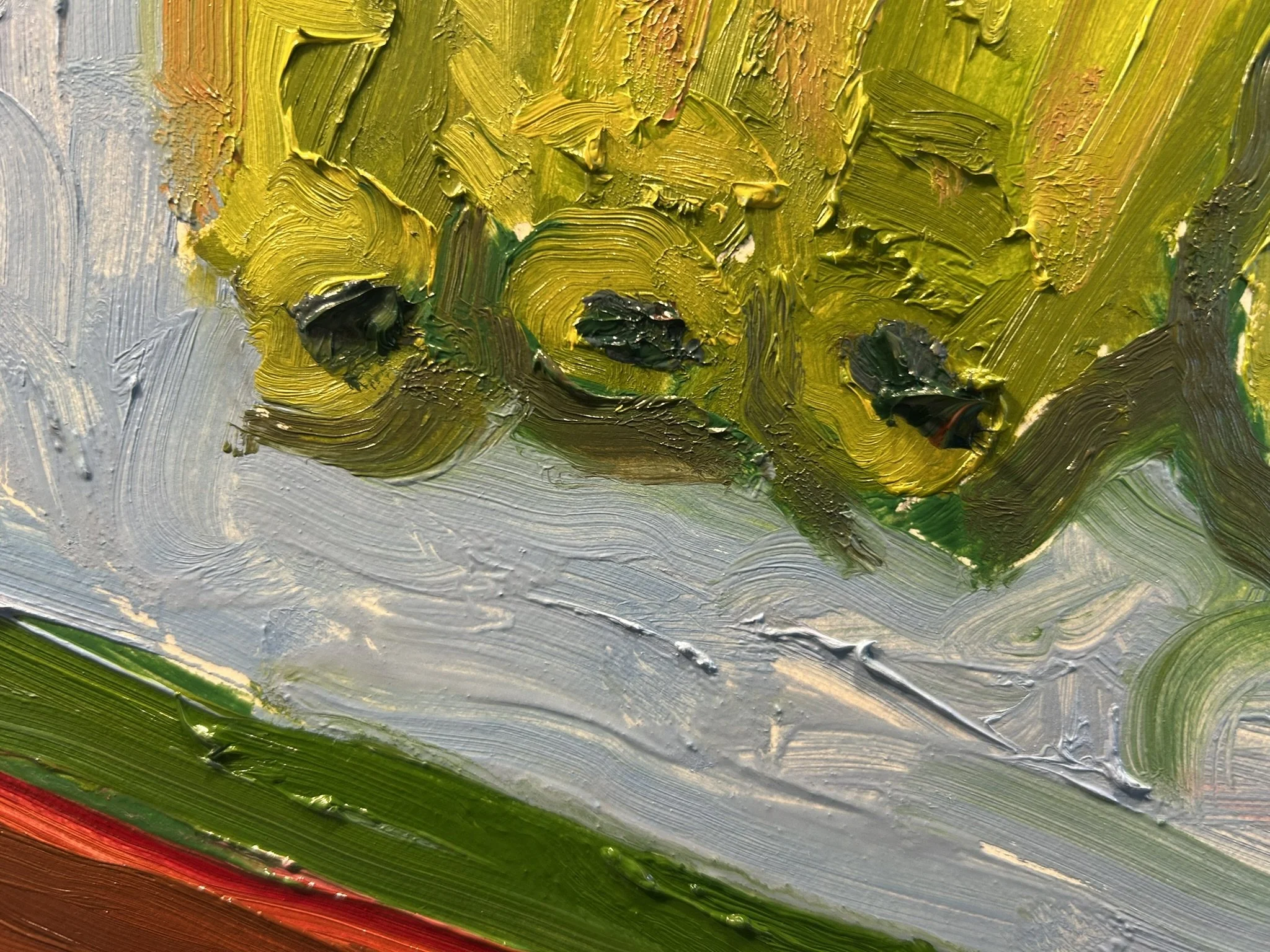 Still Life - Five Ears of Corn (Detail 2).JPEG