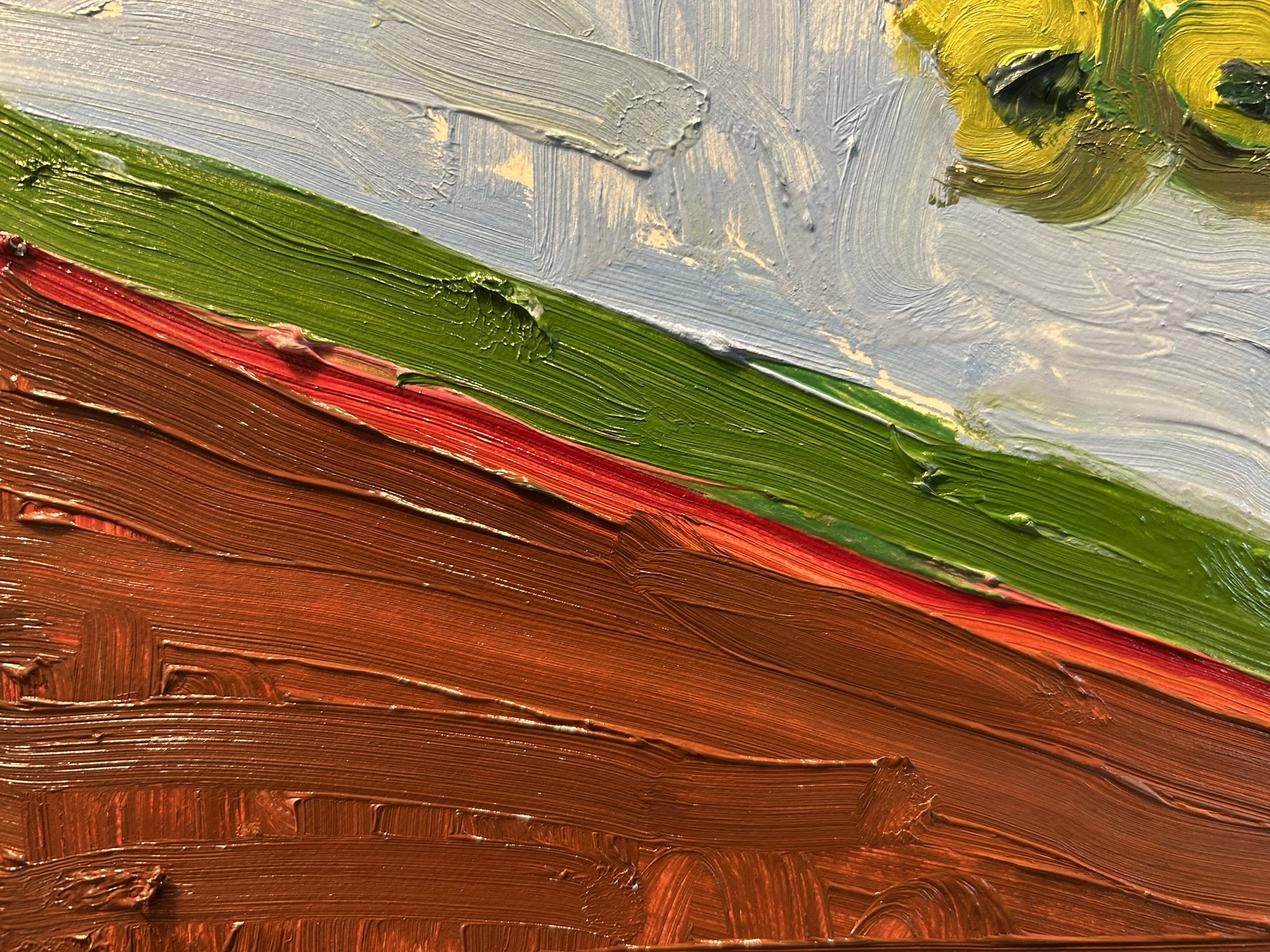Still Life - Five Ears of Corn (Detail 5).JPEG