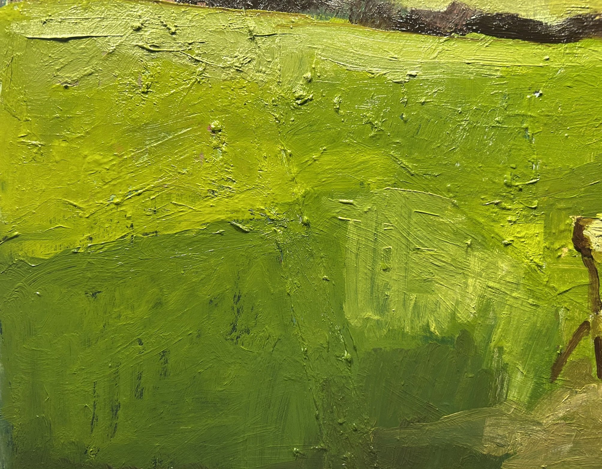Bench at Westmoreland Circle, Washington, DC, 2026 (Detail 3).JPEG