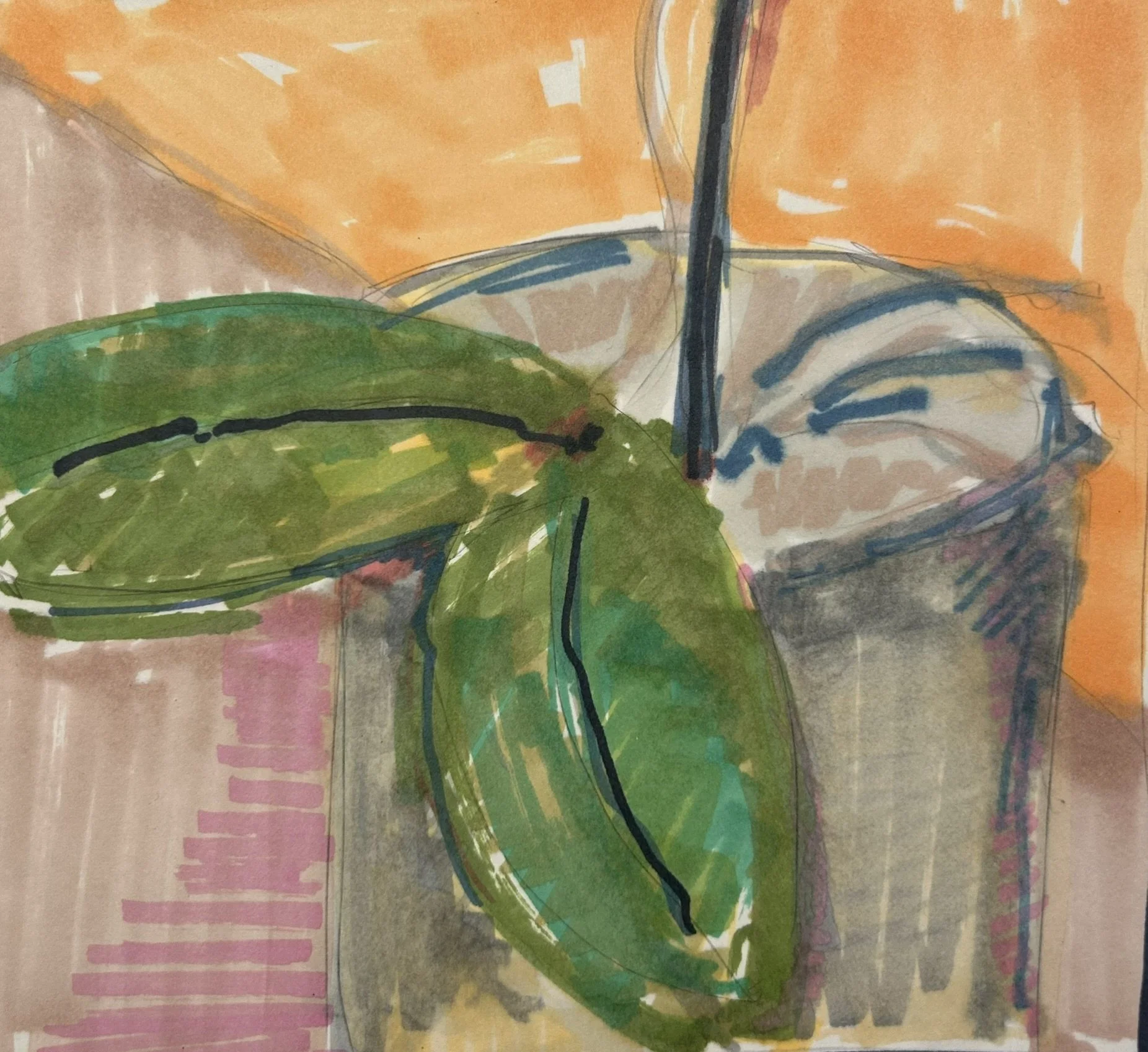 Potted Plant, 2025 (6" x 6.25"; pen on paper; unframed)
