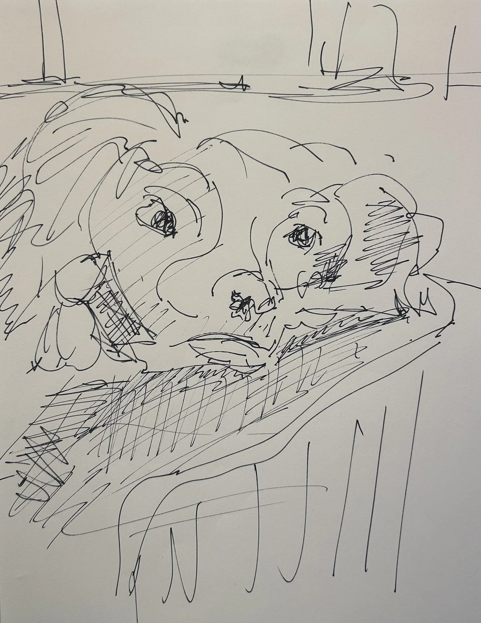 Chicky, 2026 (11" x 8.5"; ink on paper; unframed)