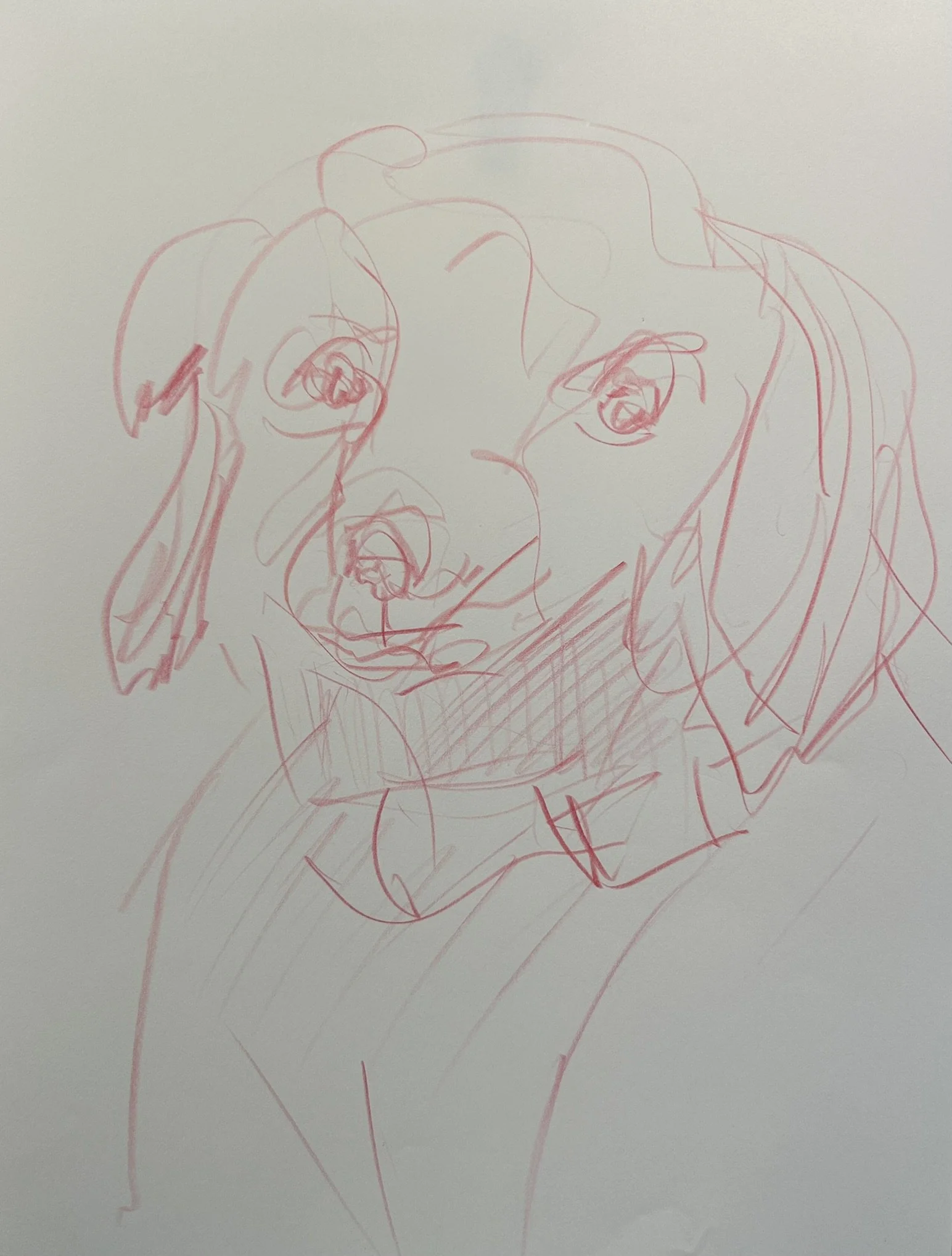 Emas 2, 2026 (11" x 8.5"; red pencil on paper; unframed)