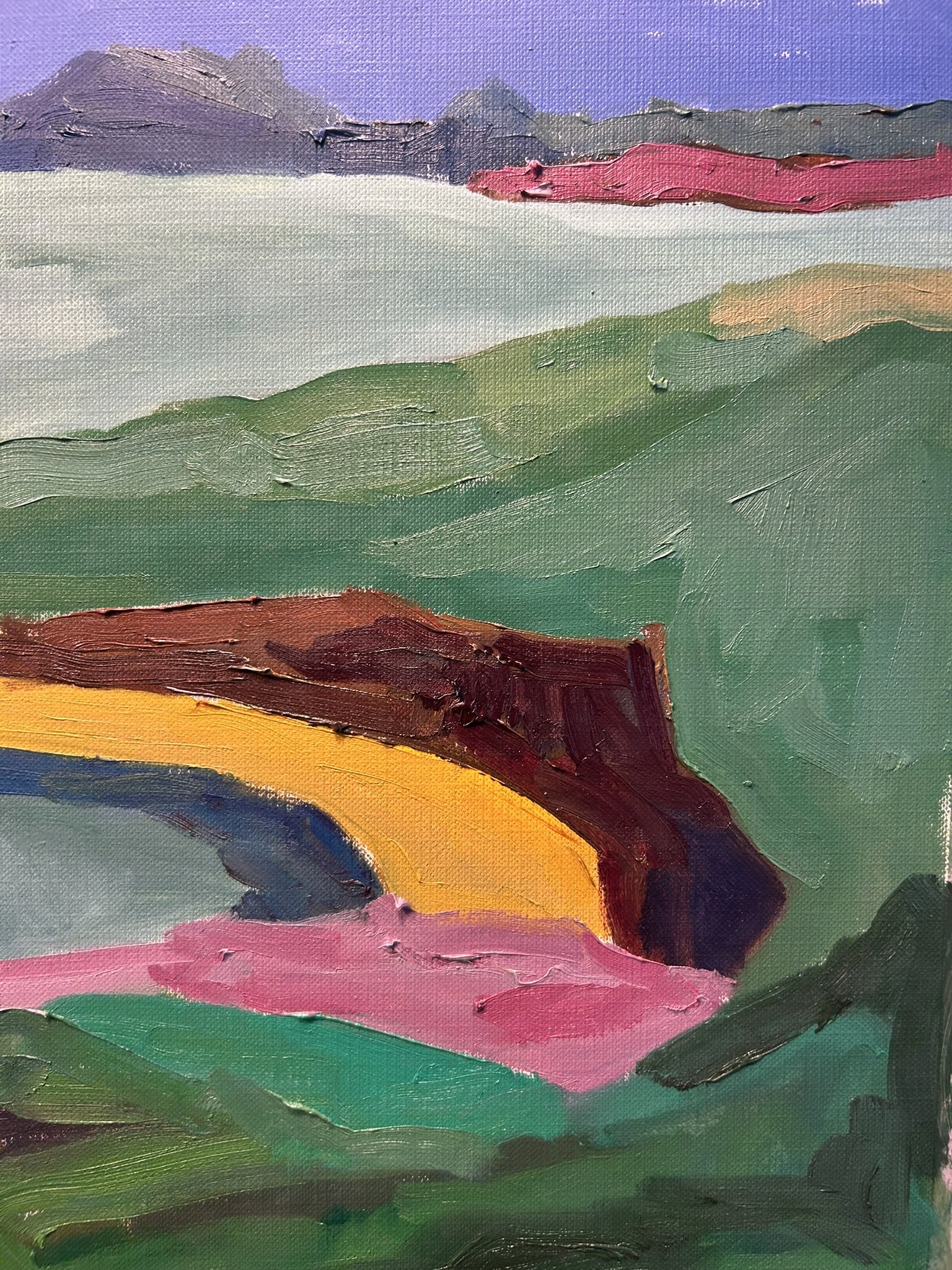 Landscape - Doire Fhionain, Ardkearagh, Ireland, 2026 (Detail 2).JPEG