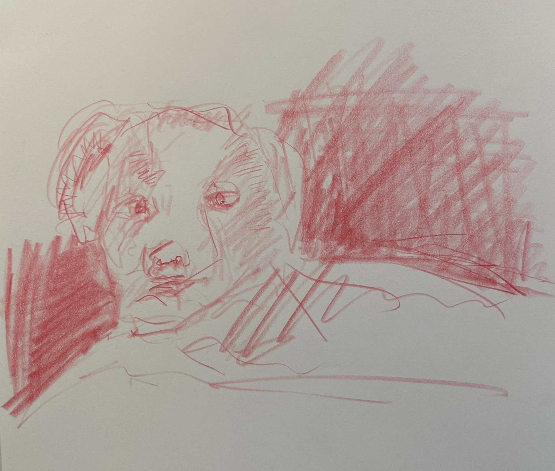 Chicky, 2025 (11" x 8.5"; red pencil on paper; unframed)
