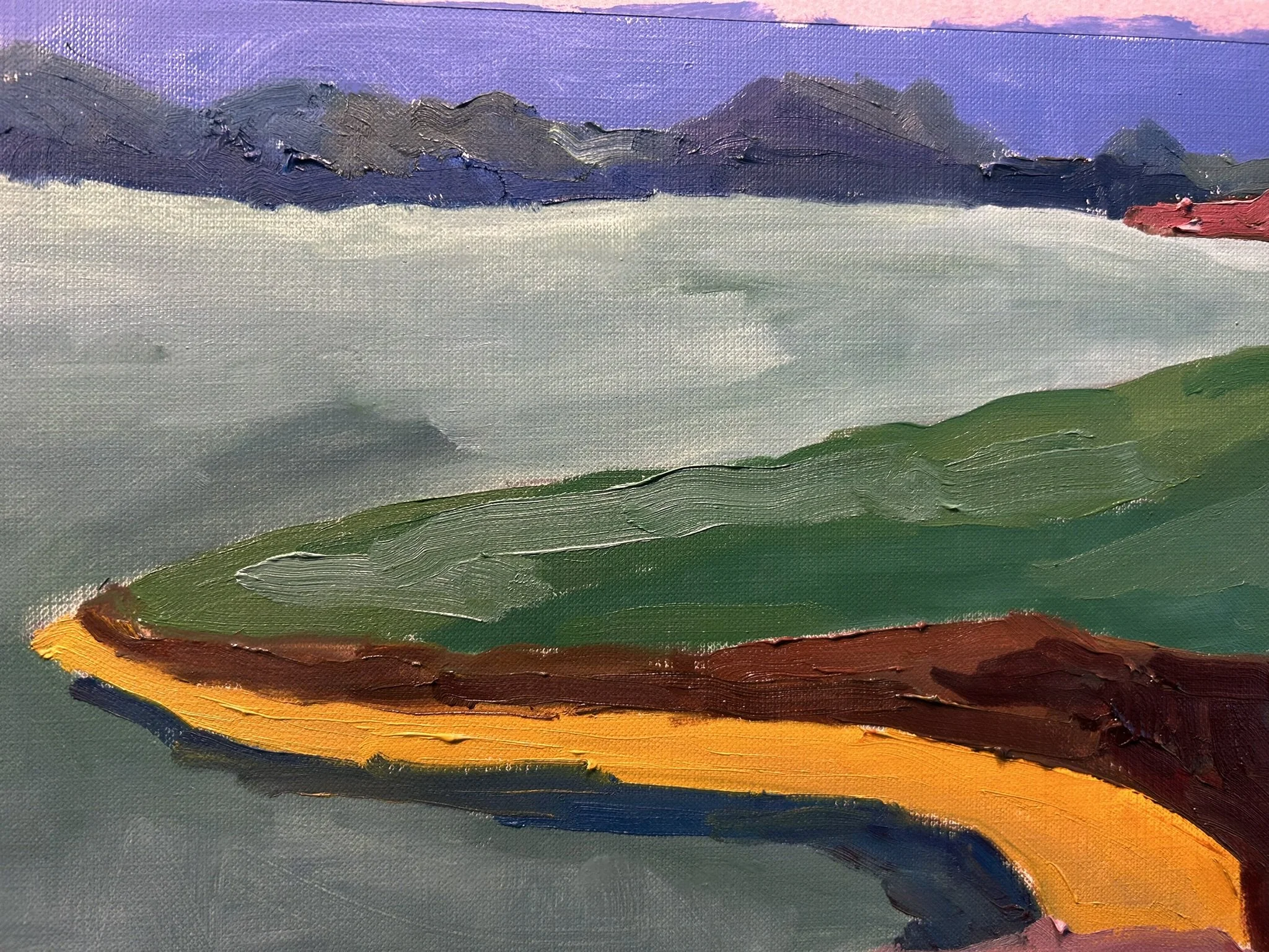 Landscape - Doire Fhionain, Ardkearagh, Ireland, 2026 (Detail 1).JPEG