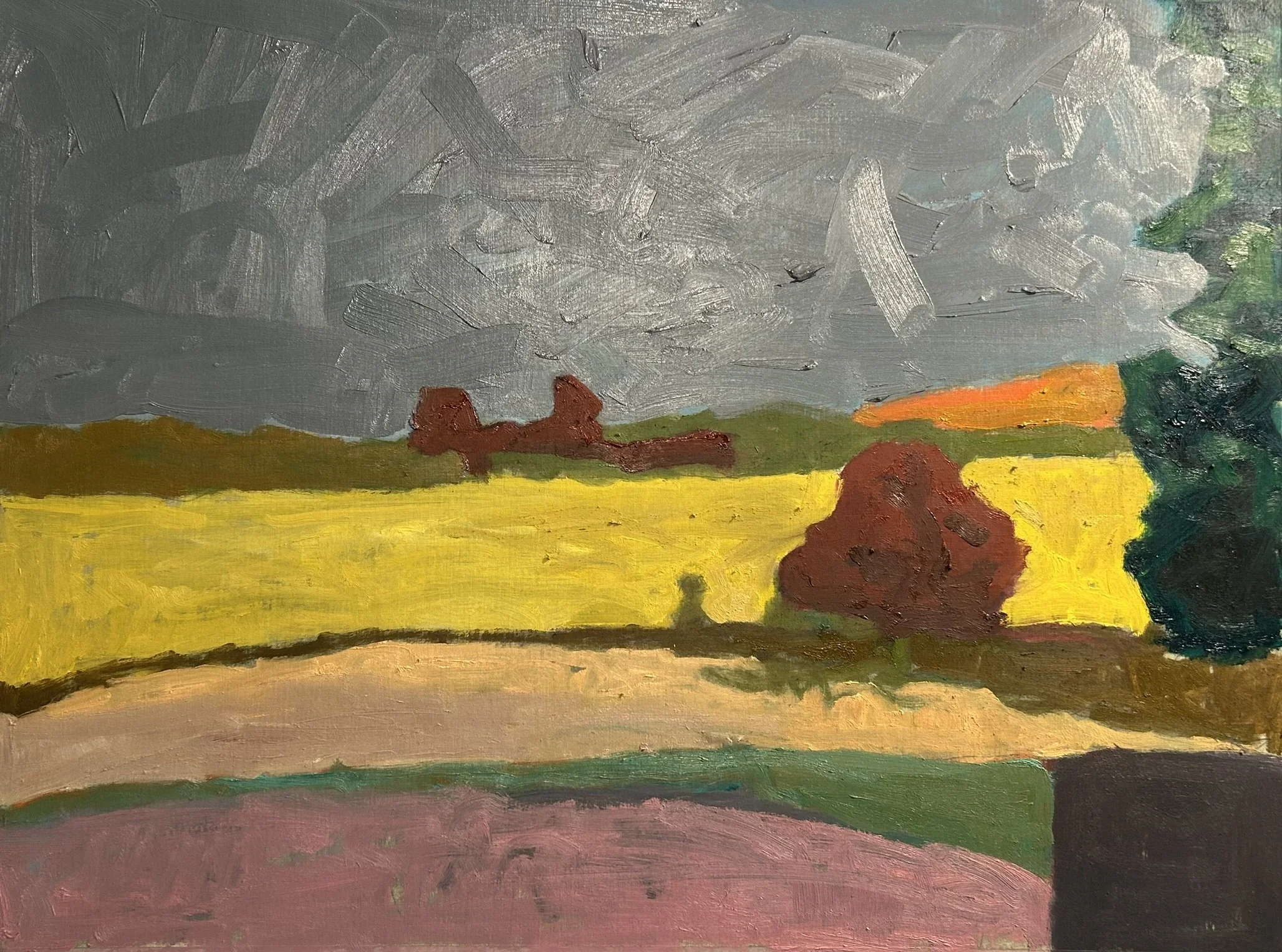 Landscape - Ballymaloe House, Shanagarry, Ireland, 2026 (oil on painting paper).JPEG