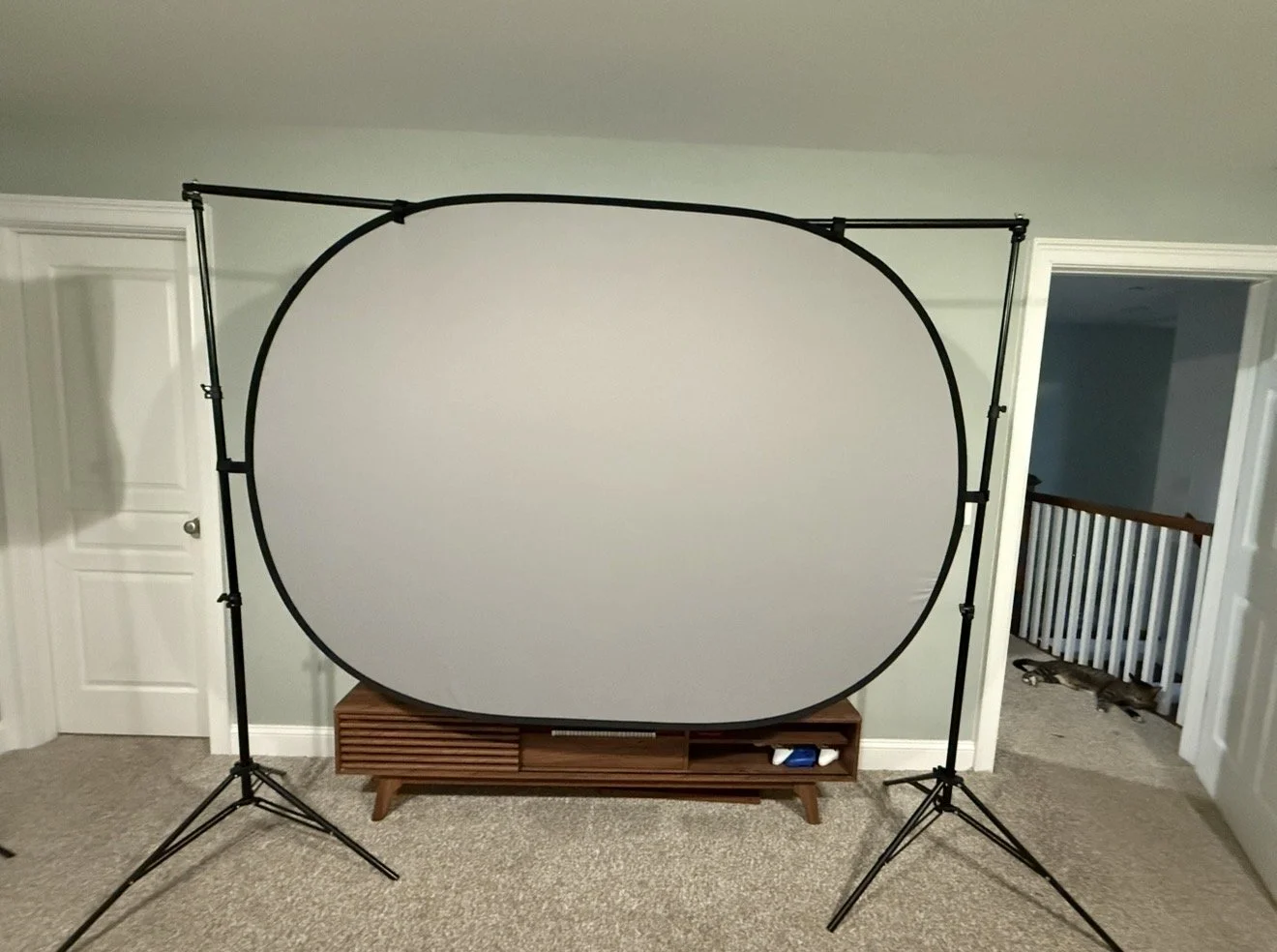 Photography backdrop set up with a large oval reflector or screen on stands in a room with carpeted floor and a wooden console table underneath.