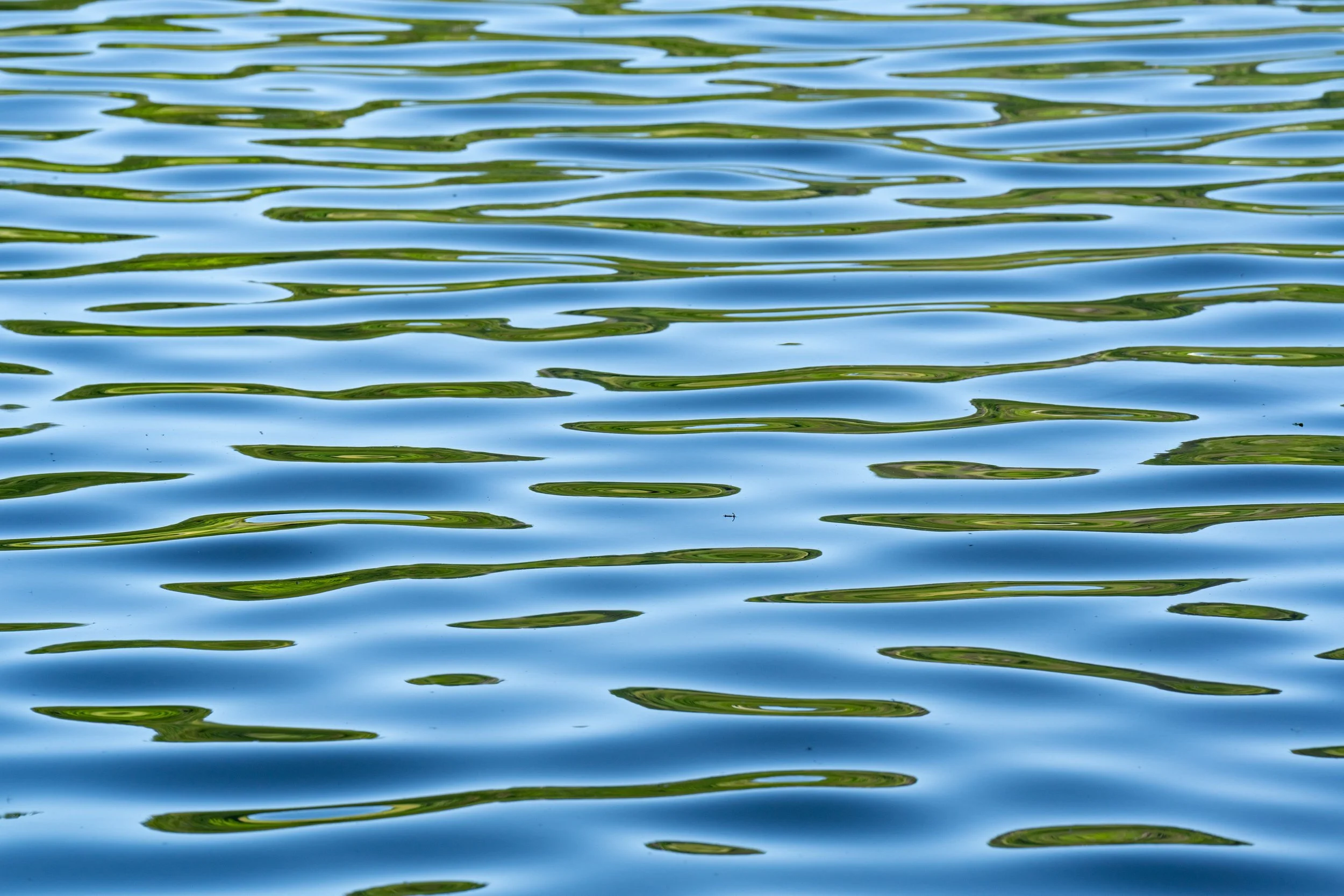 water2.jpg