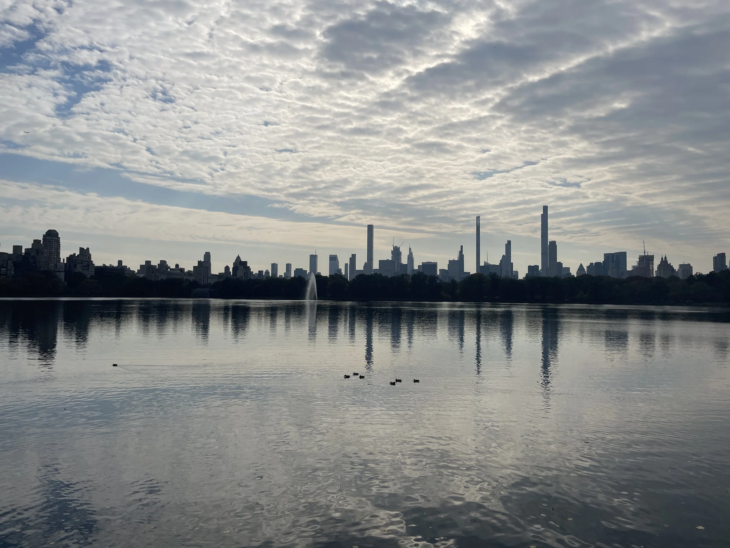 View of Manhattan skyline with tall skyscrapers, including One World Trade Center, seen from across a calm body of water with ducks swimming, under a partly cloudy sky.