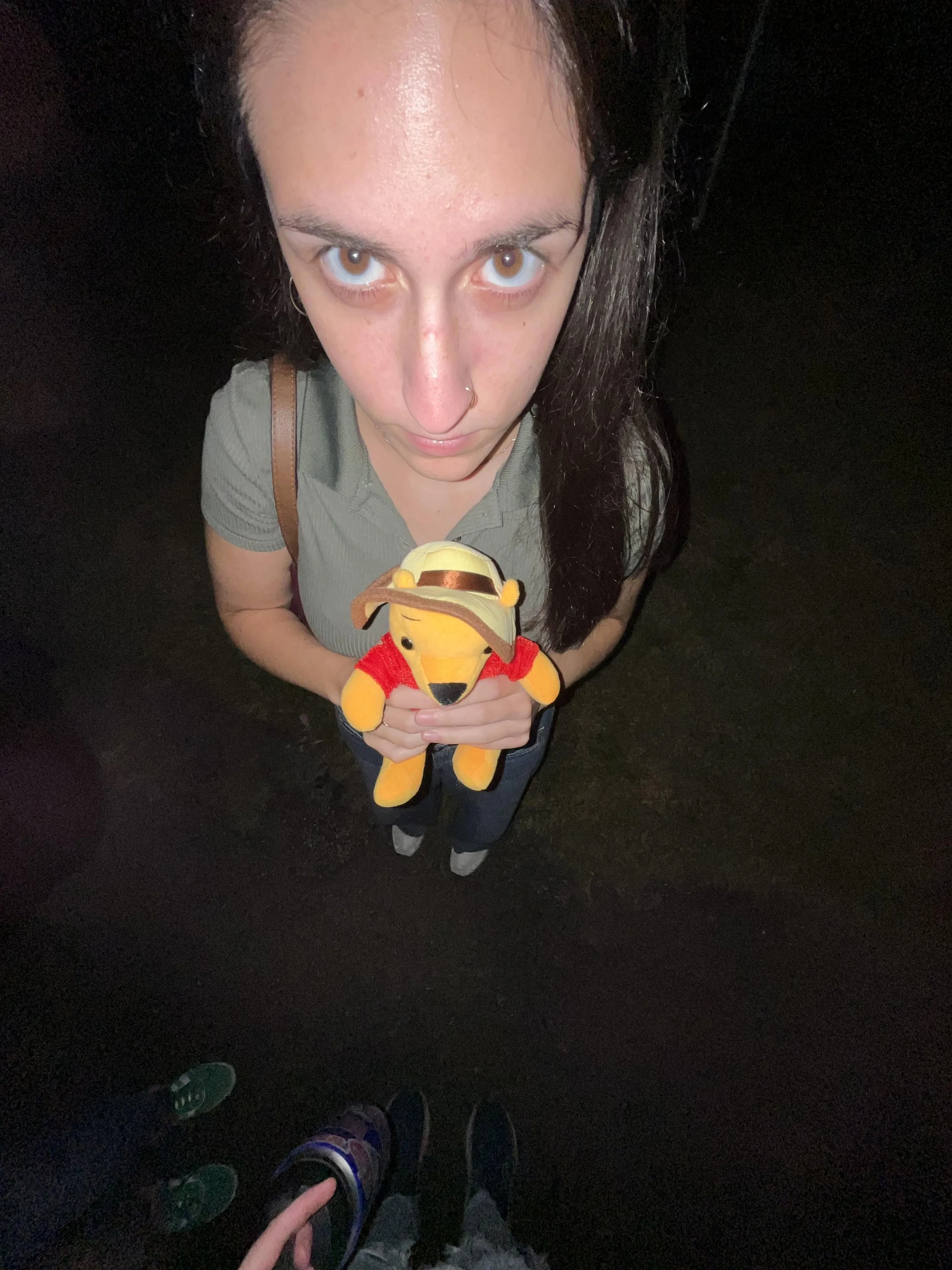 A person with light skin and dark hair, seen from above at night, holding a plush toy of Winnie the Pooh wearing a red shirt.