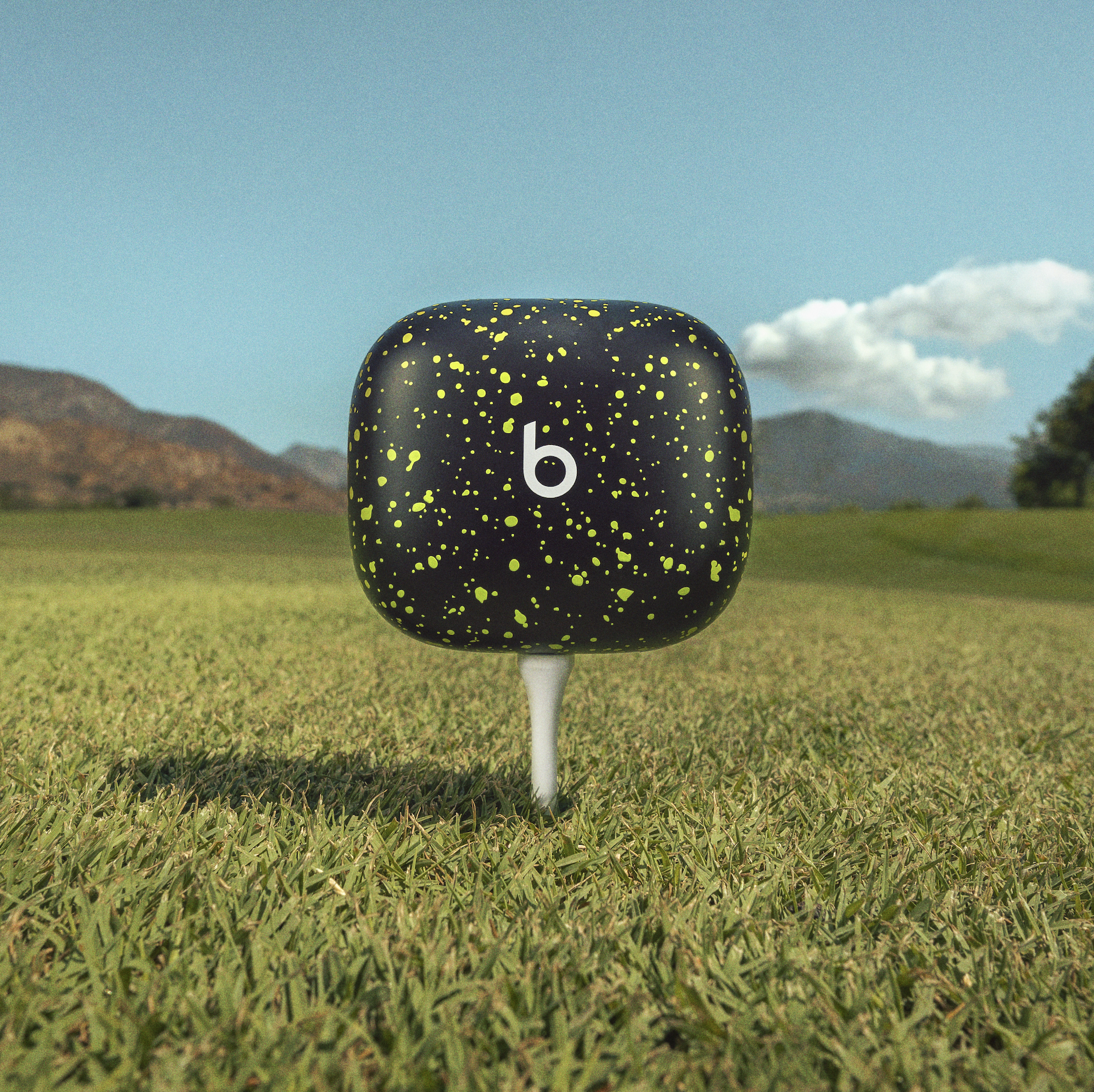Close-up of a black and yellow speckled object with a white 'b' on it, placed on green grass with mountains and a blue sky with clouds in the background.