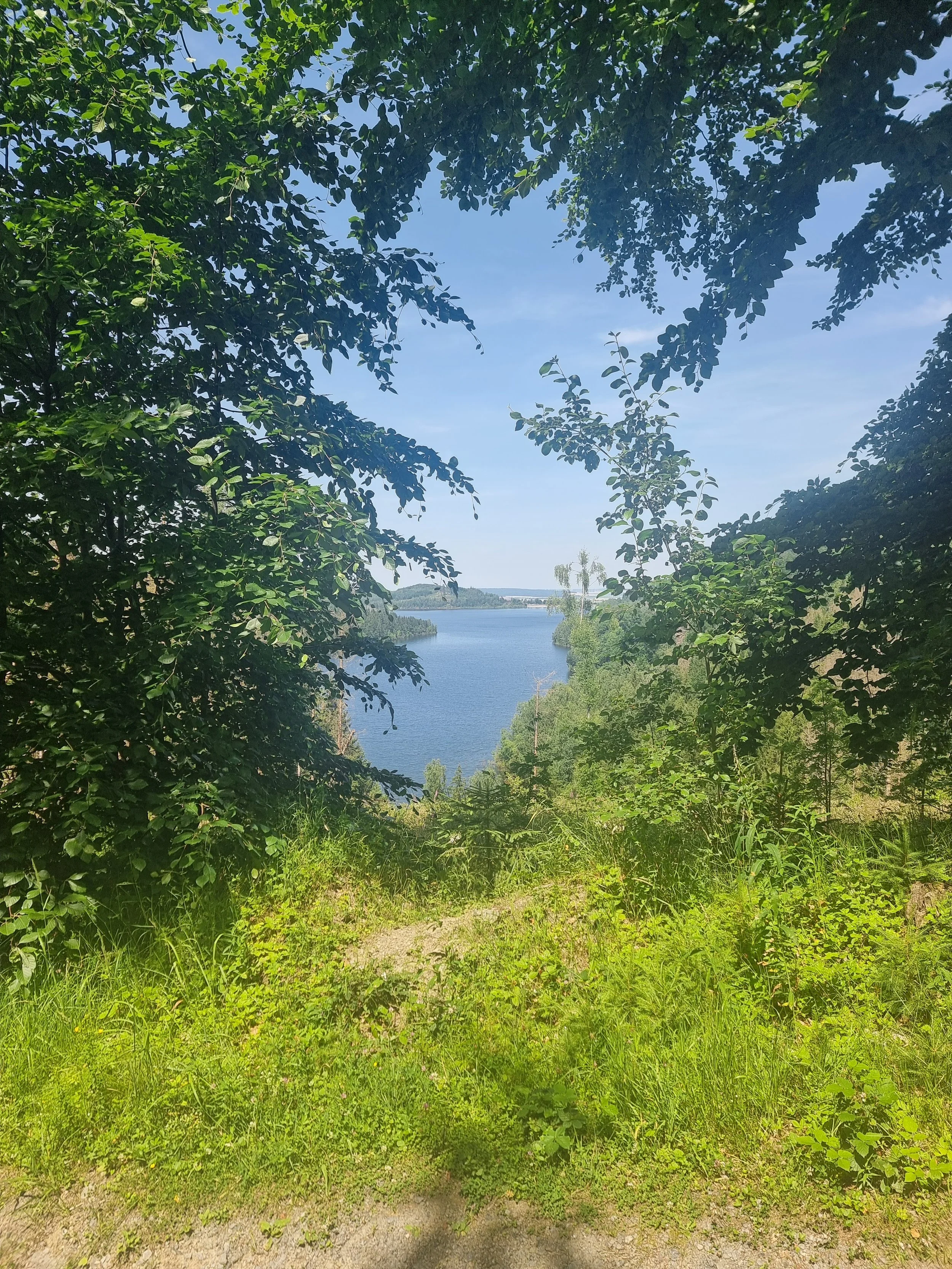 Blick auf eine grüne Wiese mit Bäumen und Wasser im Hintergrund, unter einem blauen Himmel.