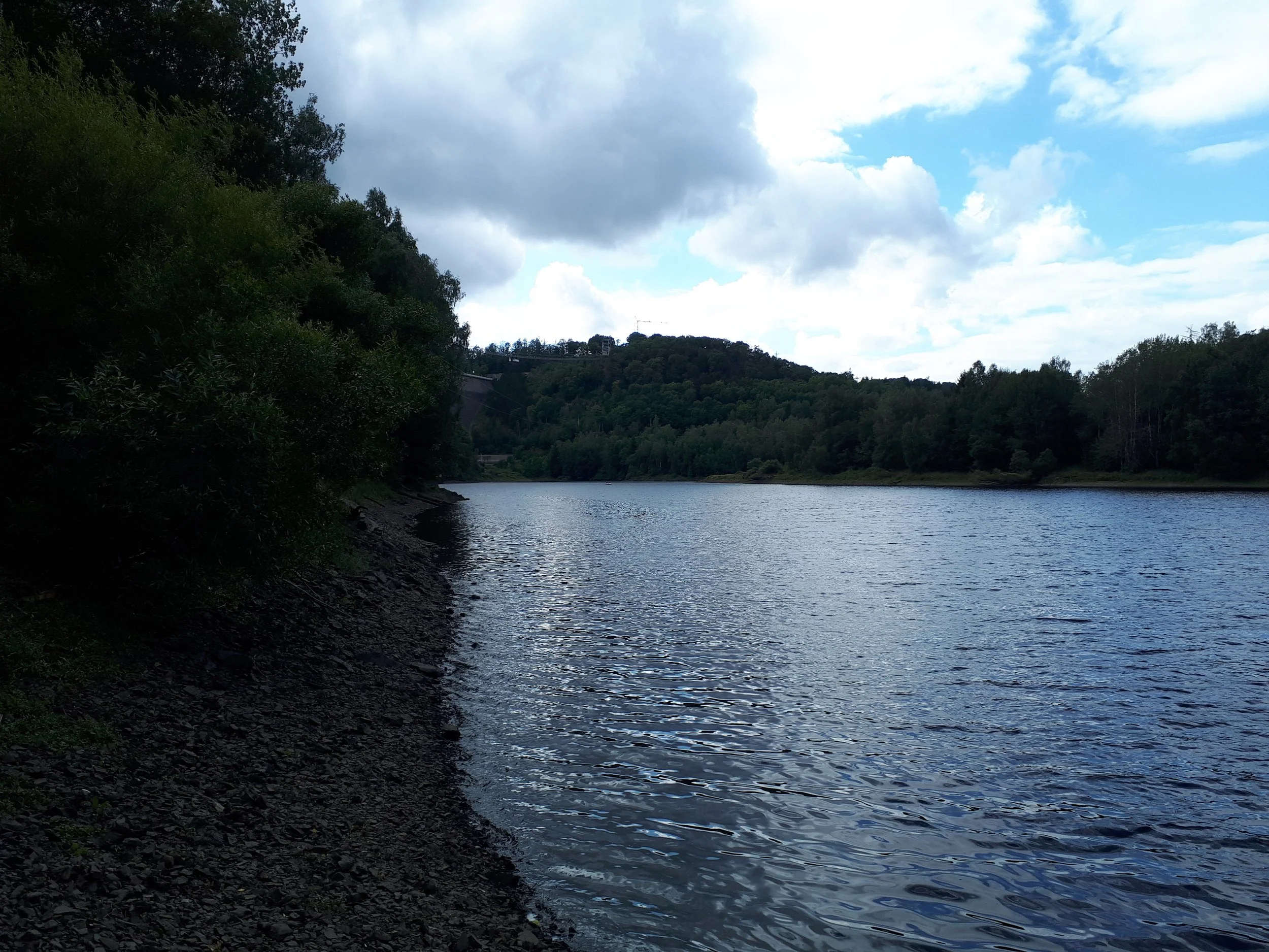 Ein Fluss mit umgebenden Bäumen und bewölktem Himmel, im Hintergrund Hügel mit Gebäuden und einem Kran.