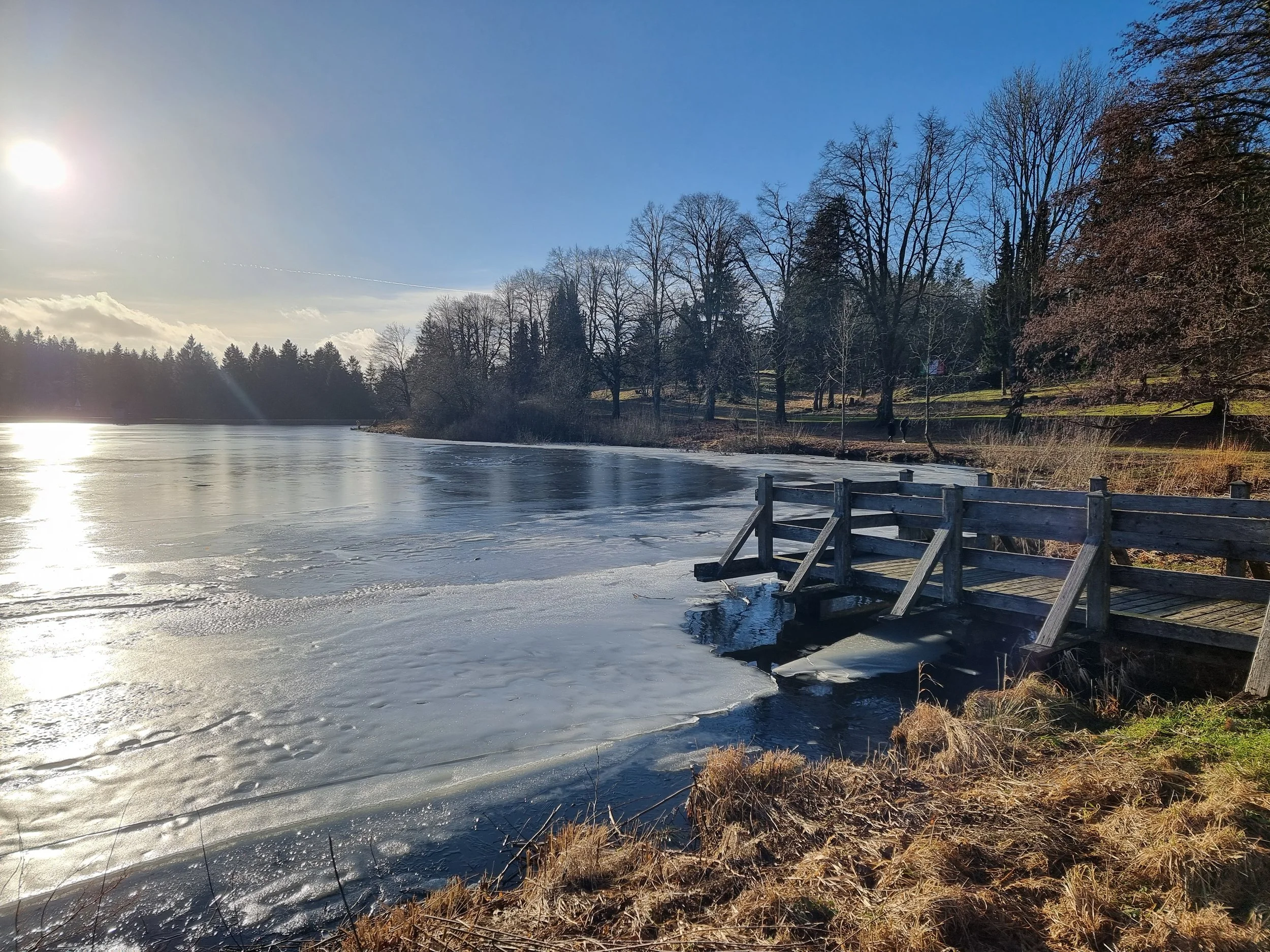 Ein zugefrorener See mit einem Holzsteg, umgeben von Bäumen ohne Blätter, bei sonnigem Himmel.