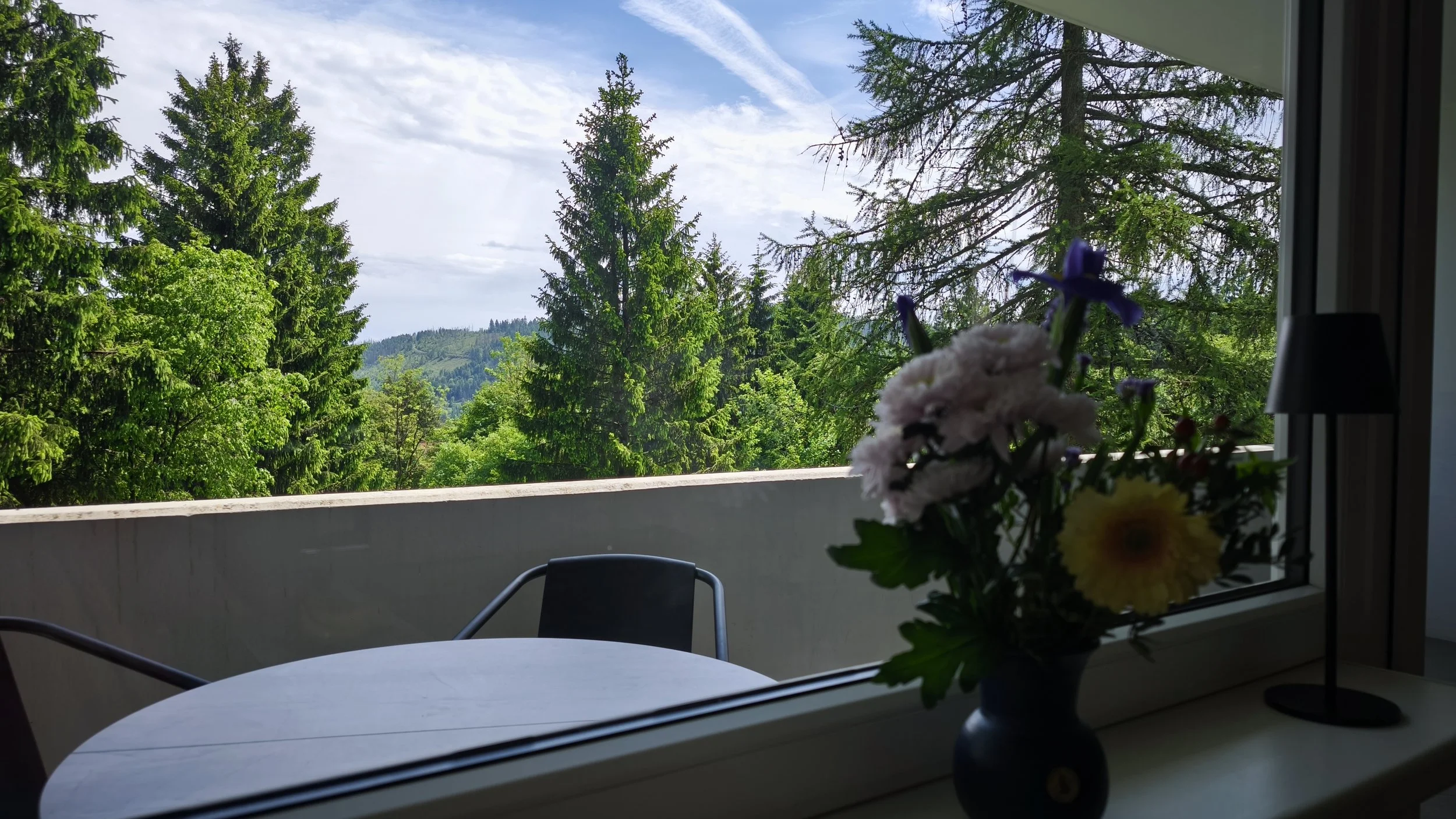 Blick von einem Balkon mit einem Blumentopf mit bunten Blumen im Vordergrund, grüner Wald im Hintergrund, ein blauer Himmel mit Wolken und Flugzeugen.