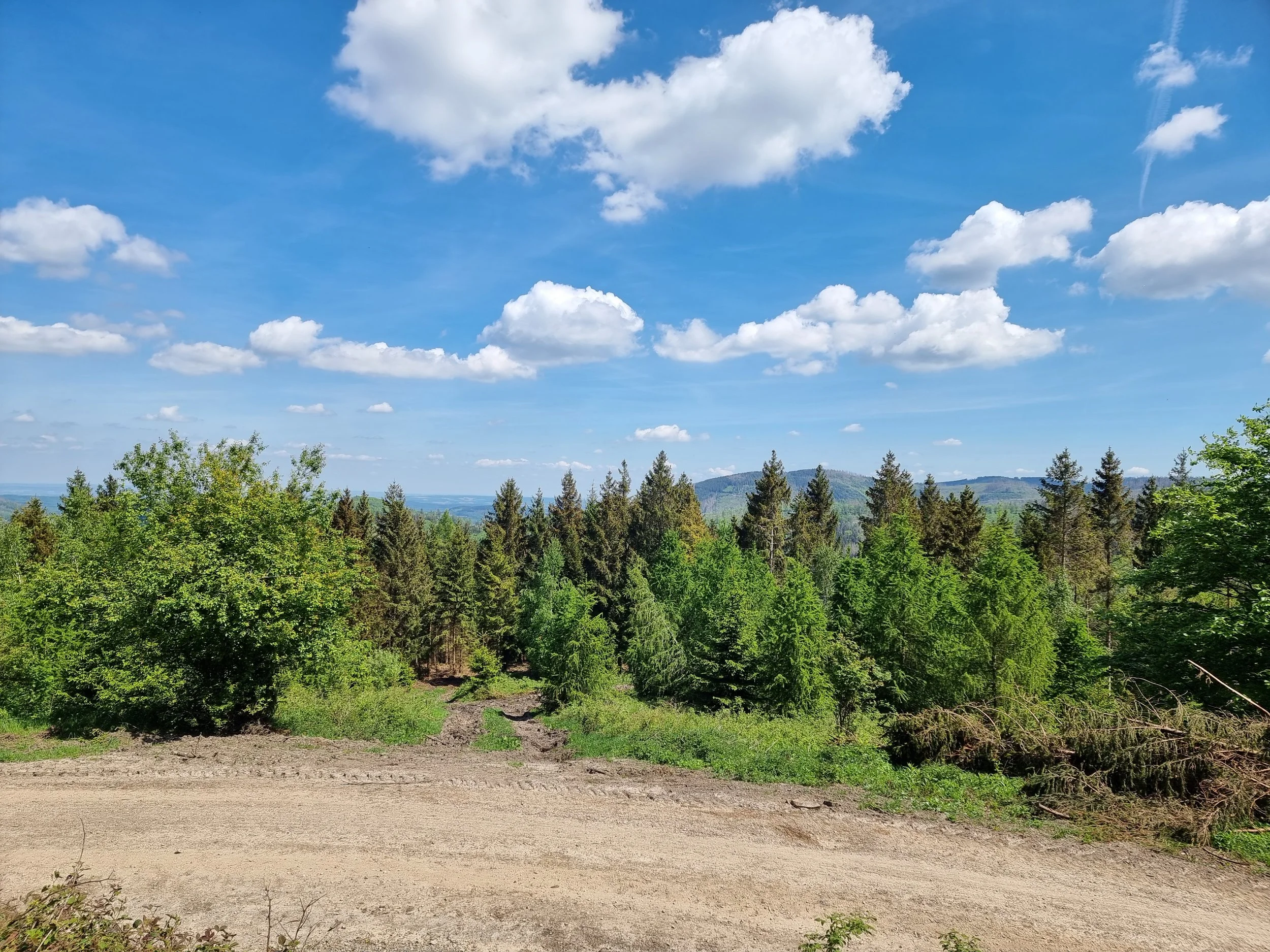 Ein Landschaftsbild mit einem klaren blauen Himmel, weißen Wolken, einem bewaldeten Hügelland und einem unbefestigten Weg im Vordergrund.