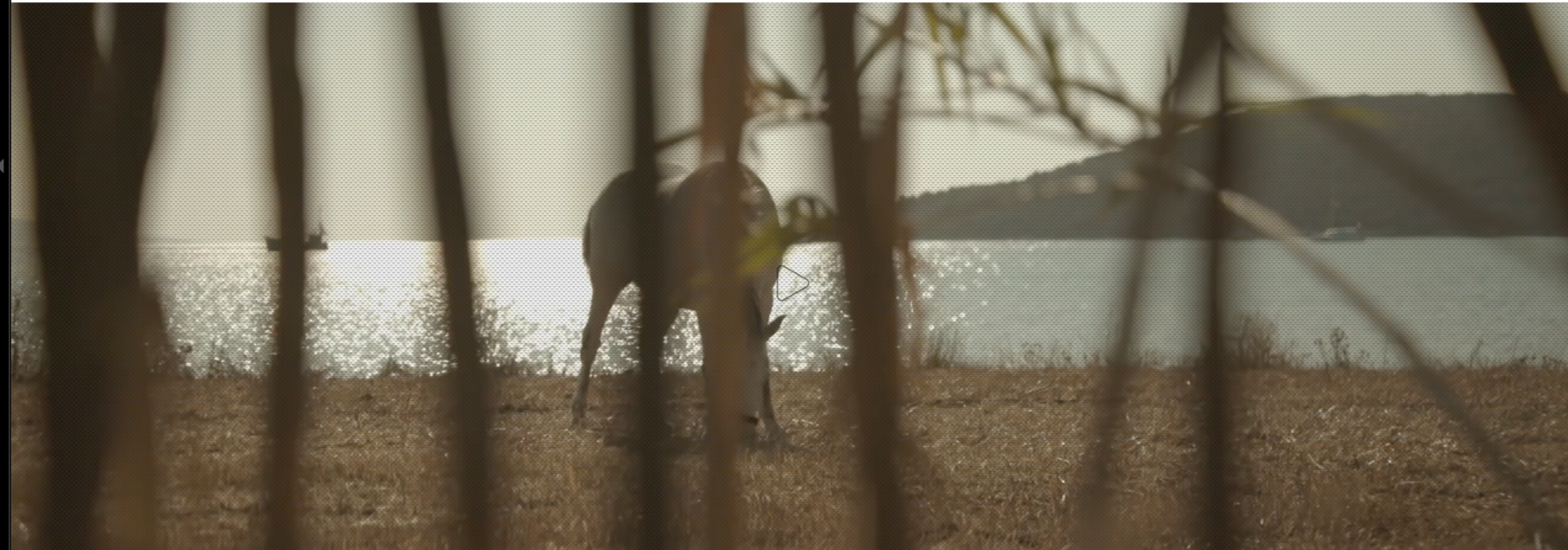SIX SENSES PORTO HELI | LANDING FILM 