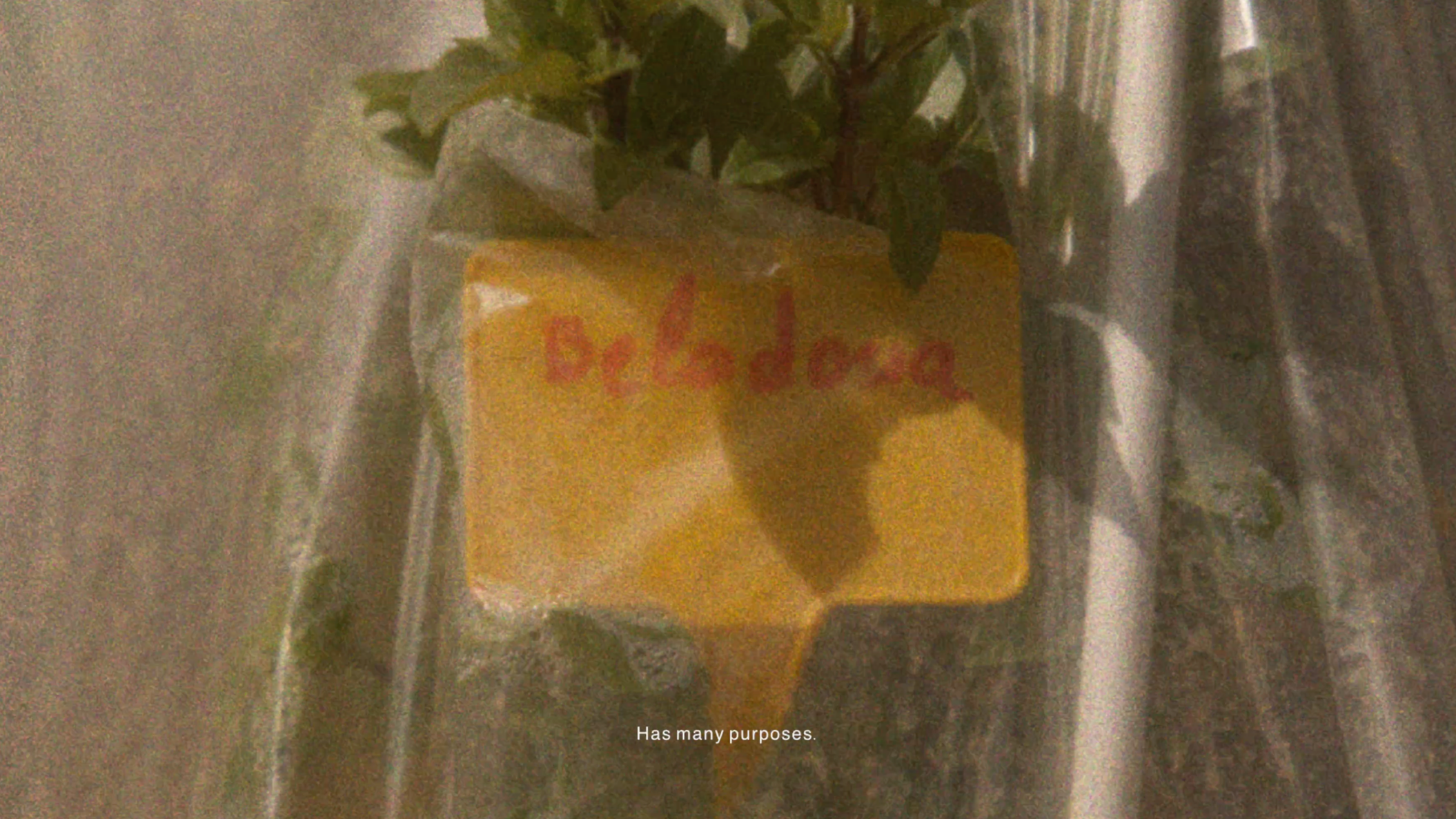 DIA ELLIS X DEXAMENES DOCUMENTARY 