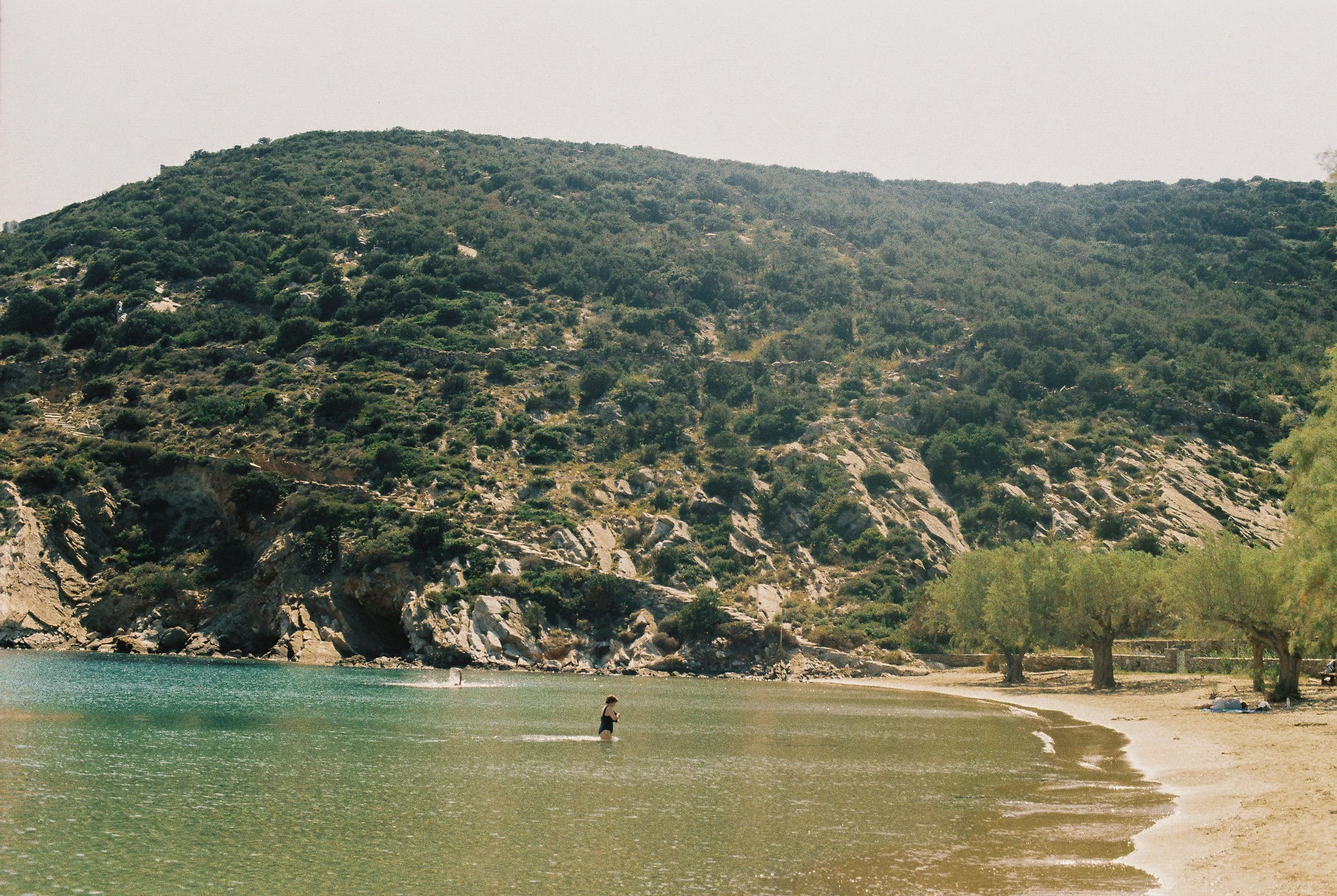 R1-01859-019A-2.JPG