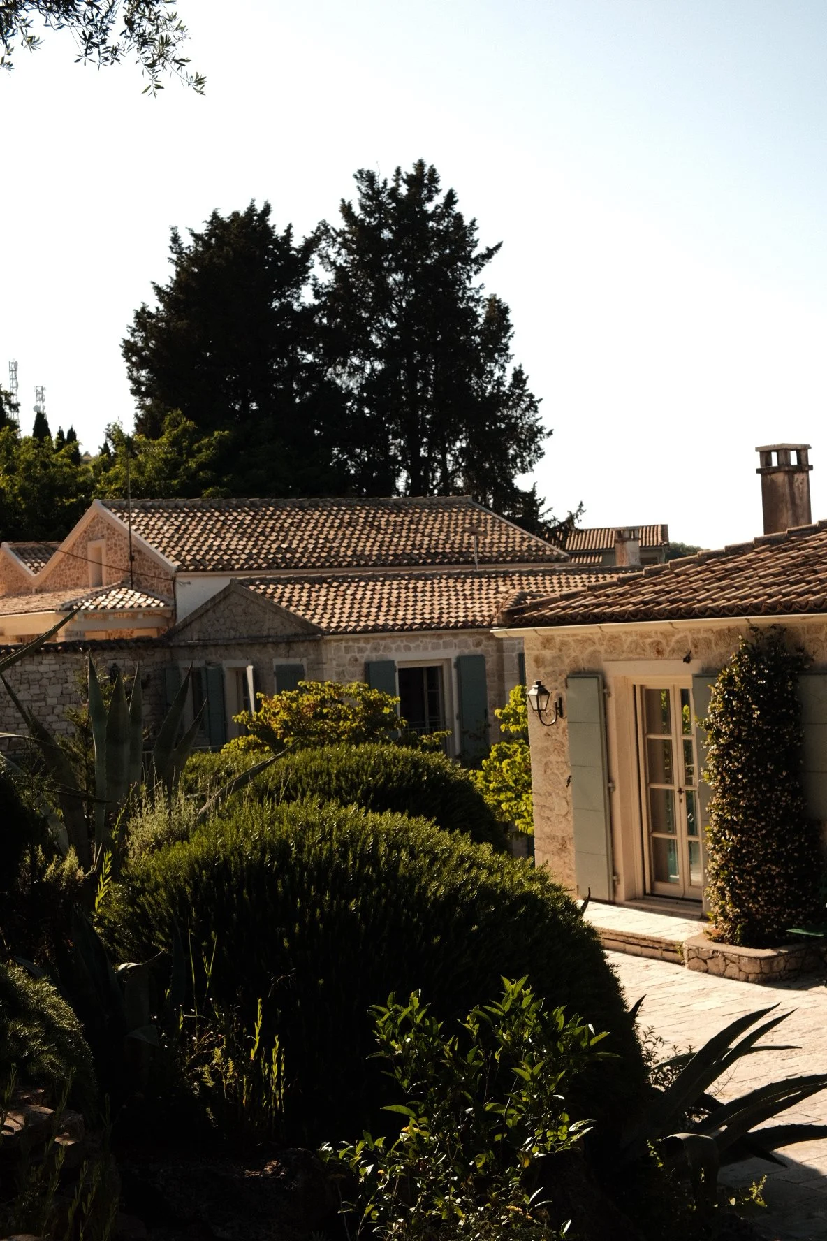 DSCF5583.JPG