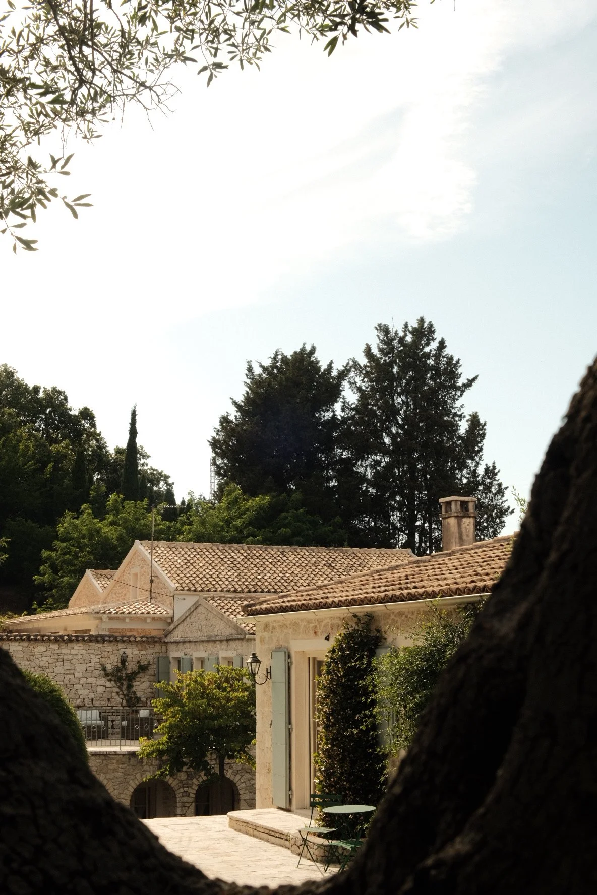 DSCF5698.JPG