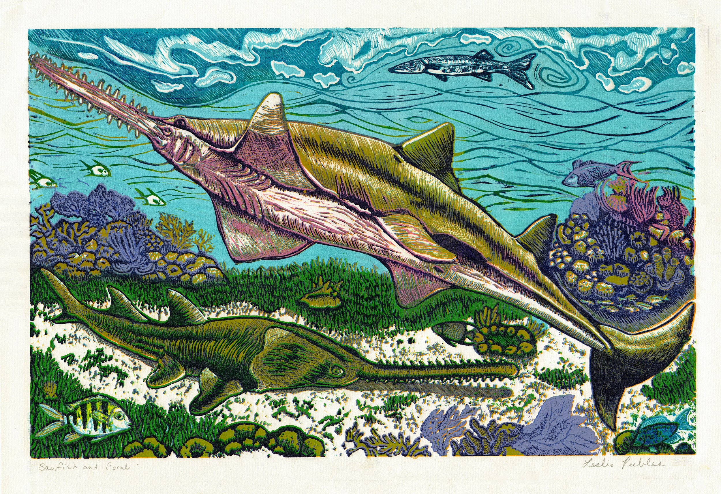 Sawfish