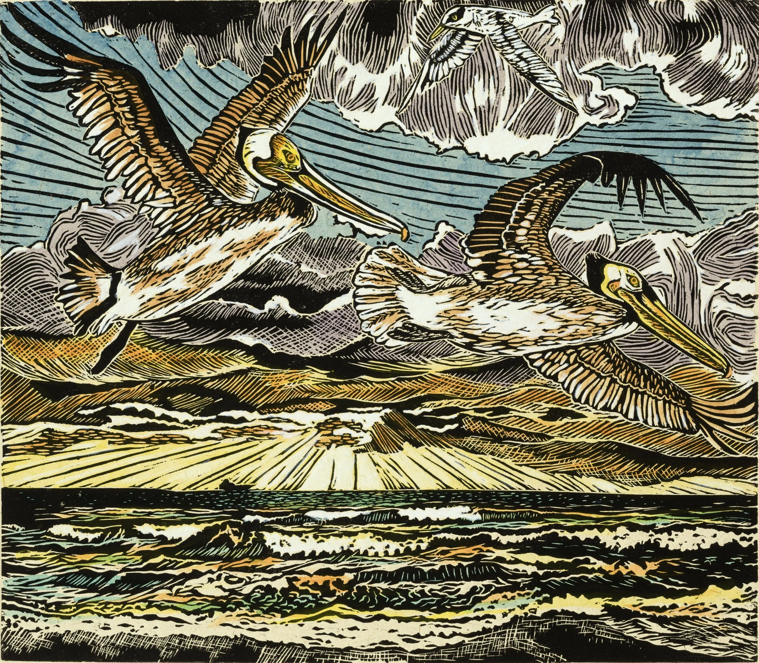 Pelican Sunrise I