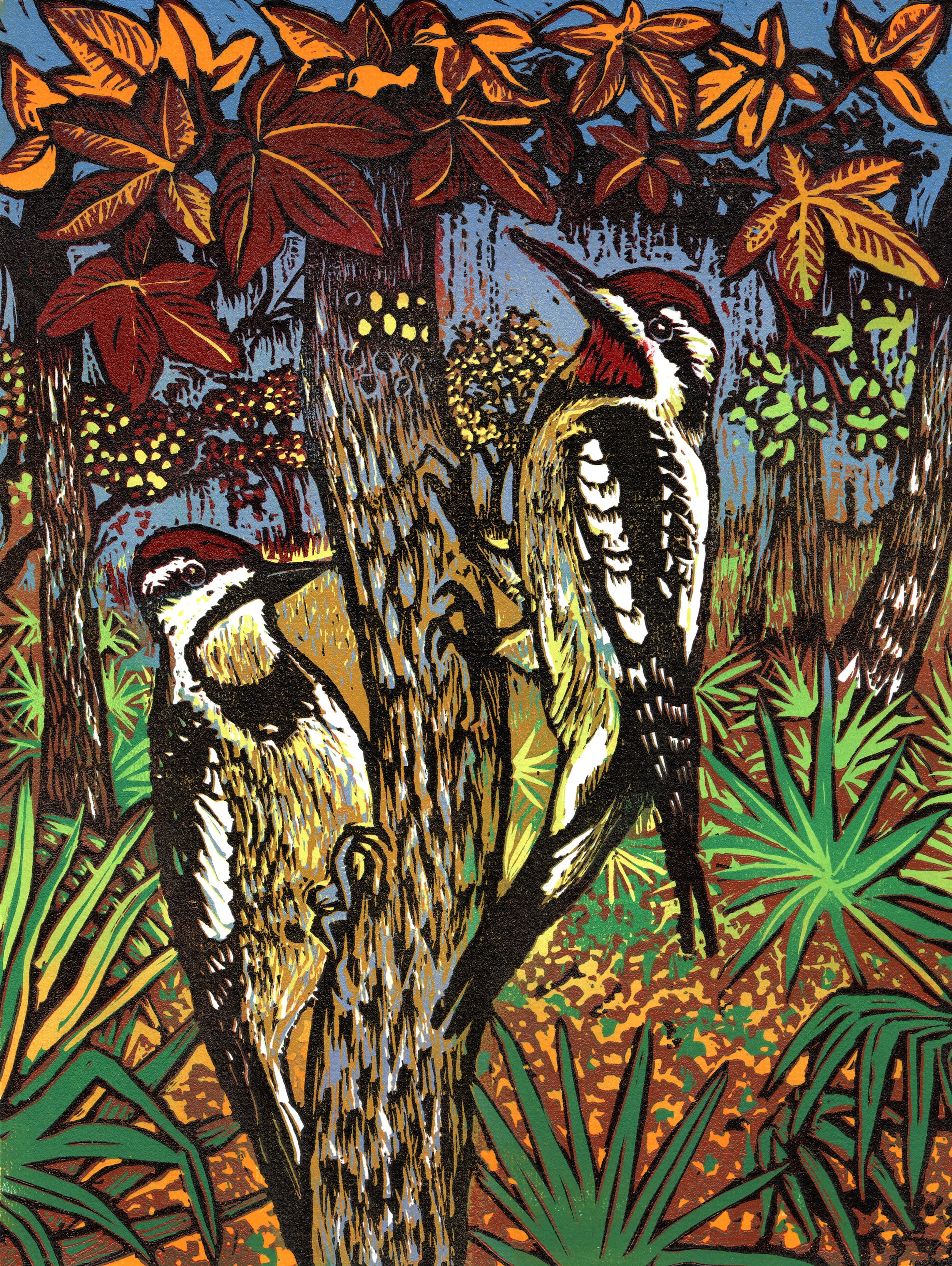 Yellow Bellied Sapsuckers