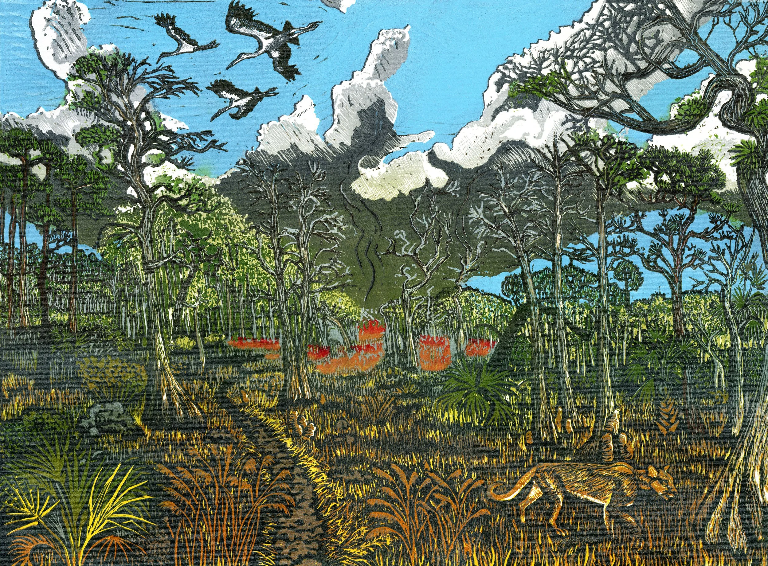 Everglades Burn