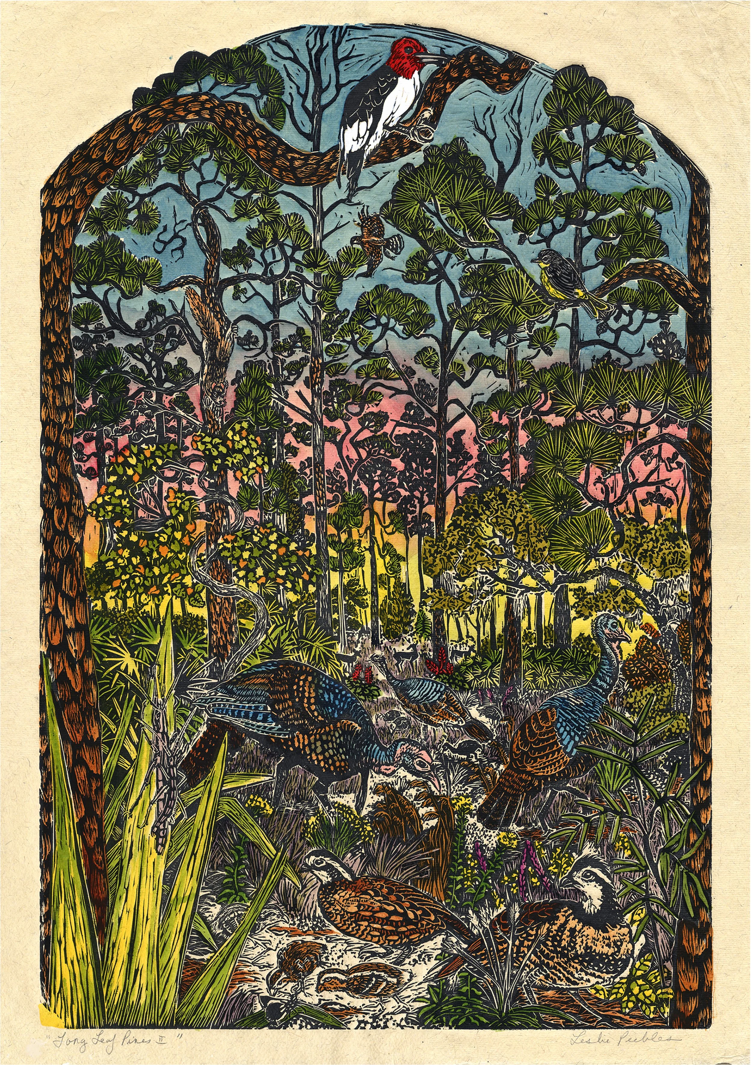 Long Leaf Pine II