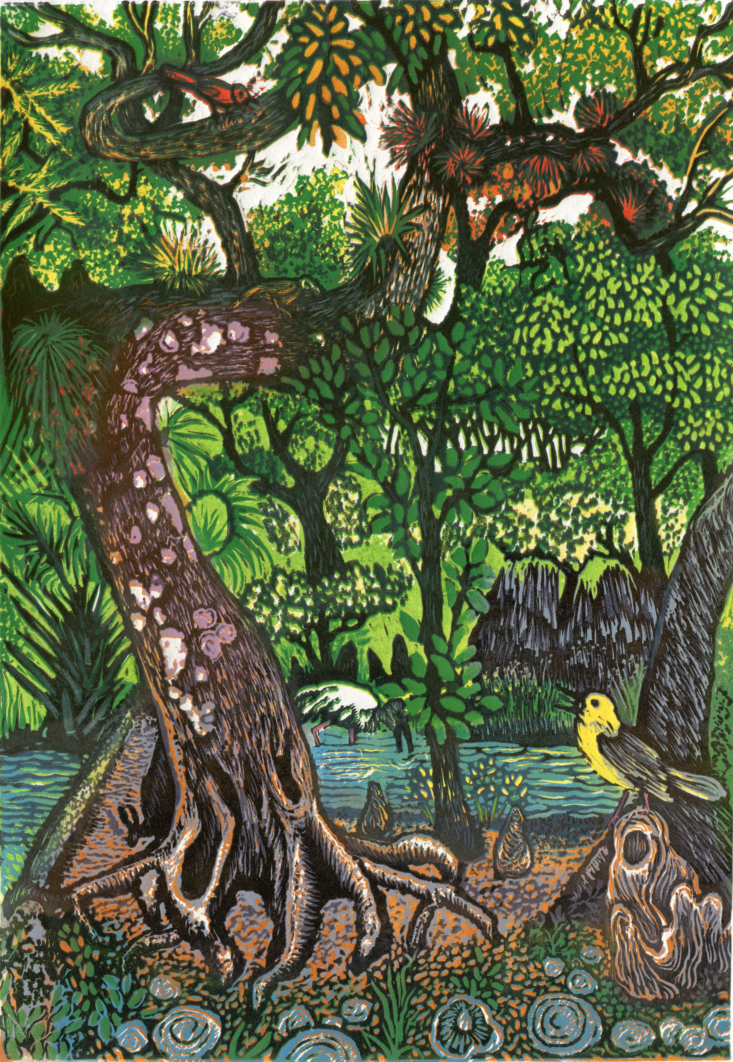 USF Forest Preserve